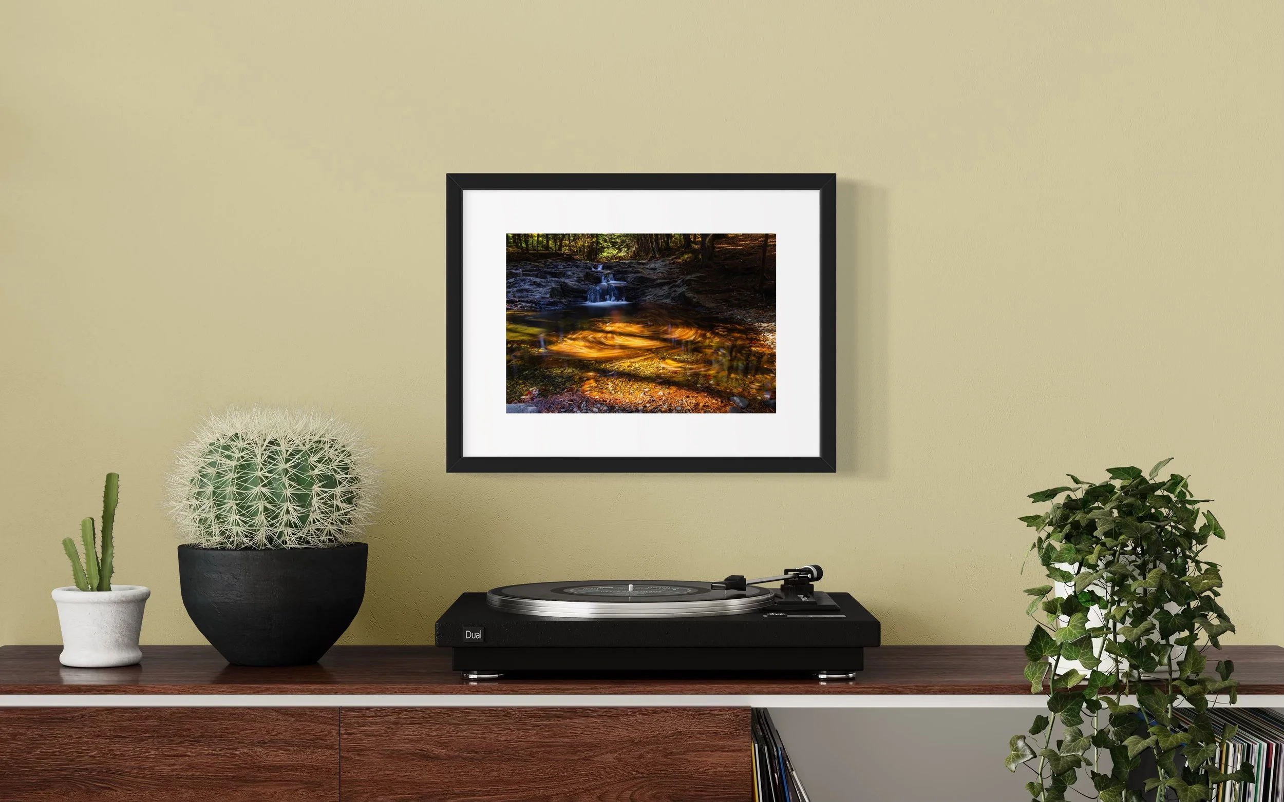 IMGC9901 12x16 2.125 FRAME.JPG