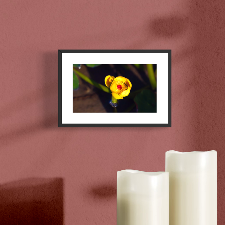 IMGF9947 4X6 .625 FRAME.PNG