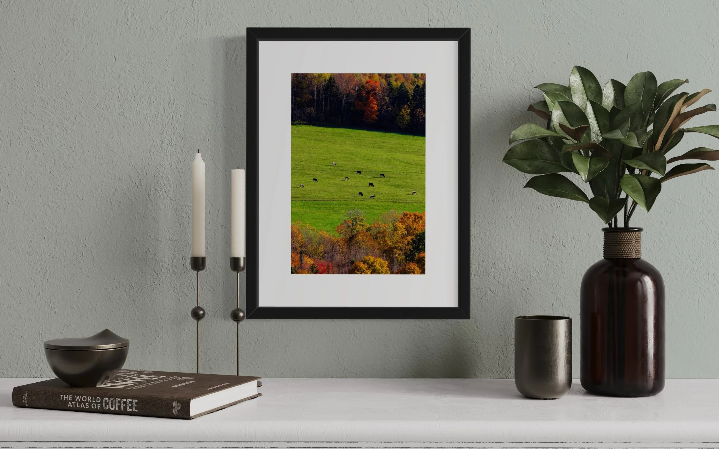 IMGC9667 16x12 2.125 FRAME.JPG