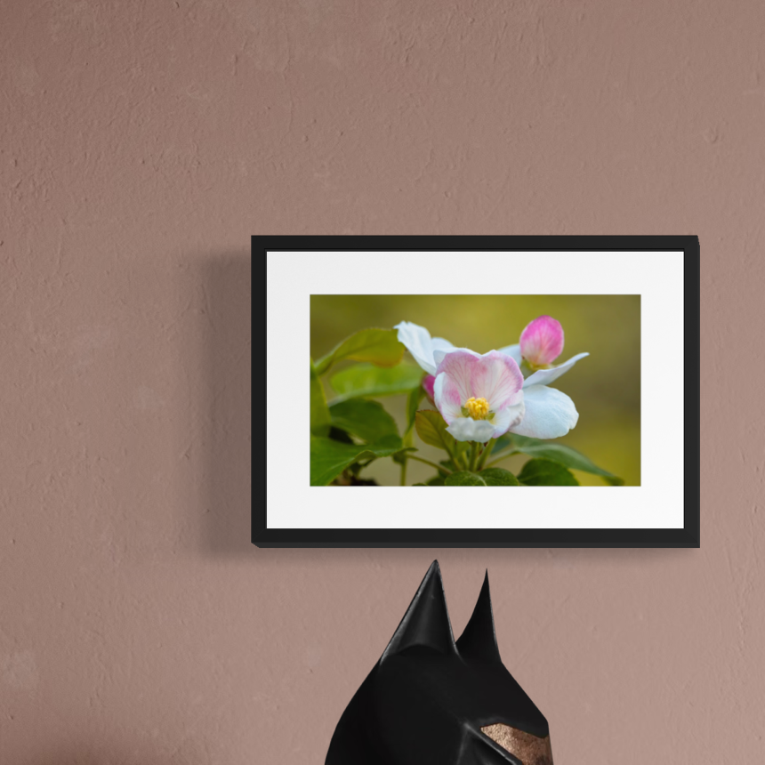 IMGA9628 4X6 .625 FRAME.PNG