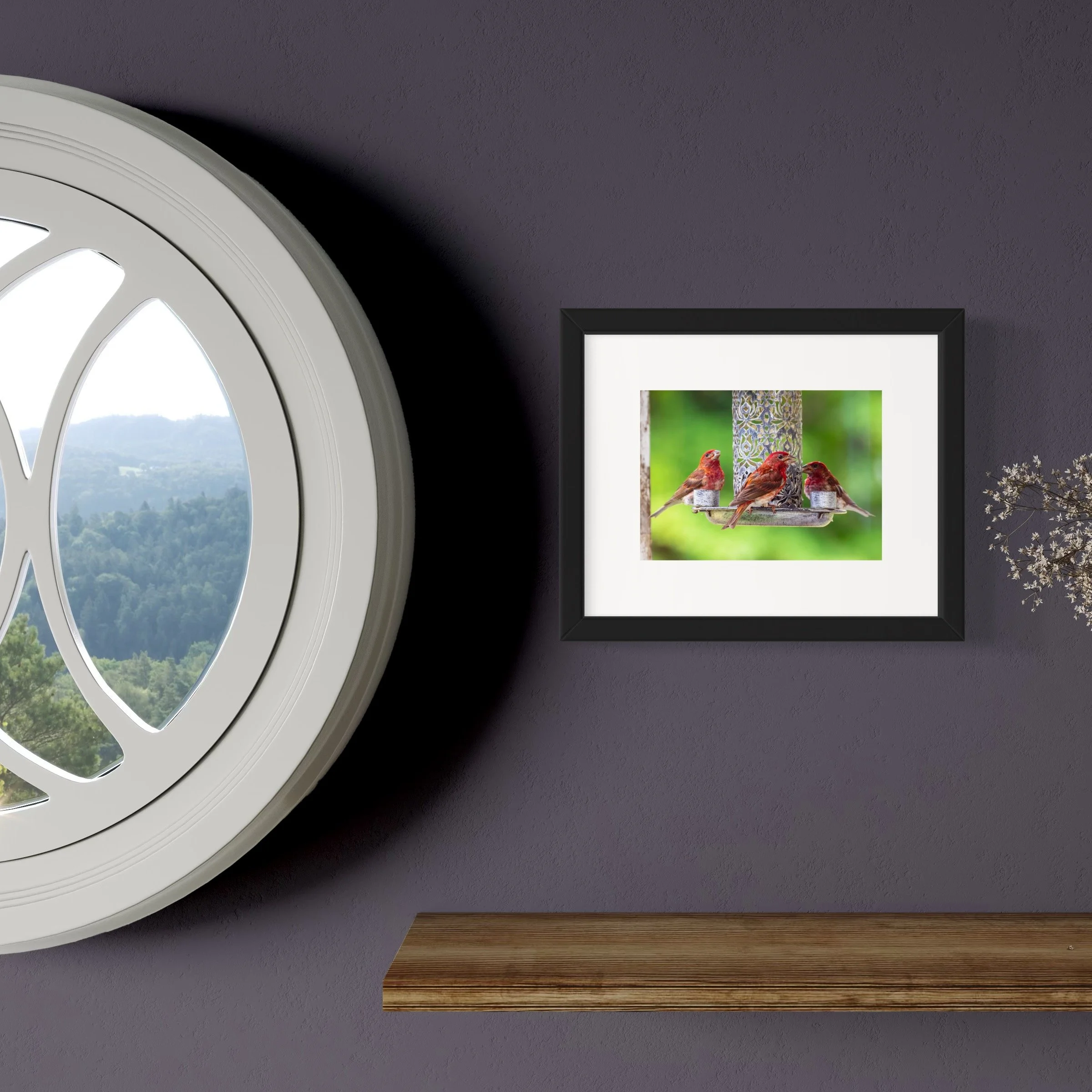 IMGF5767 8x10 1.625 FRAME.JPG