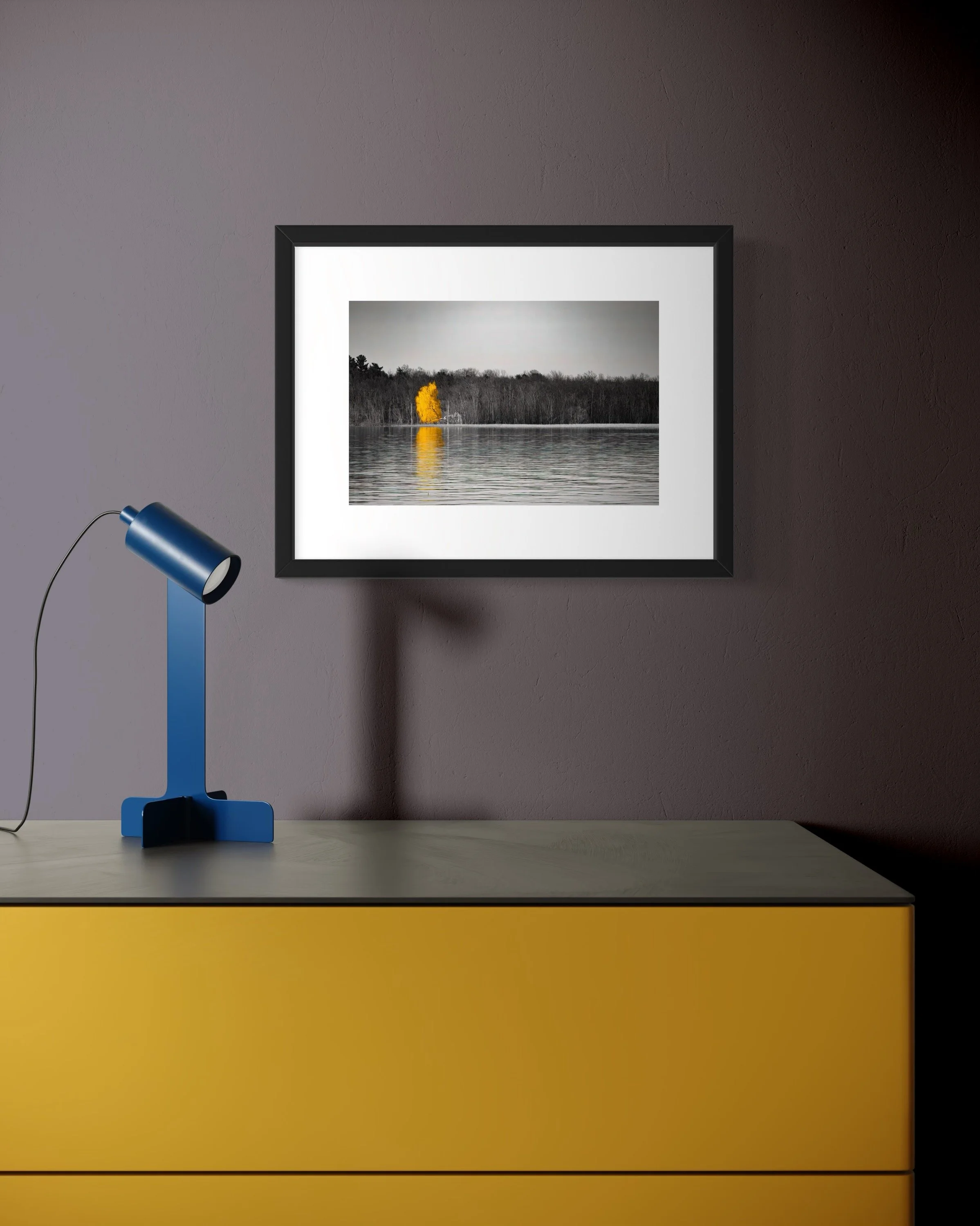 IMG_4426 12x16 2.125 FRAME.JPG