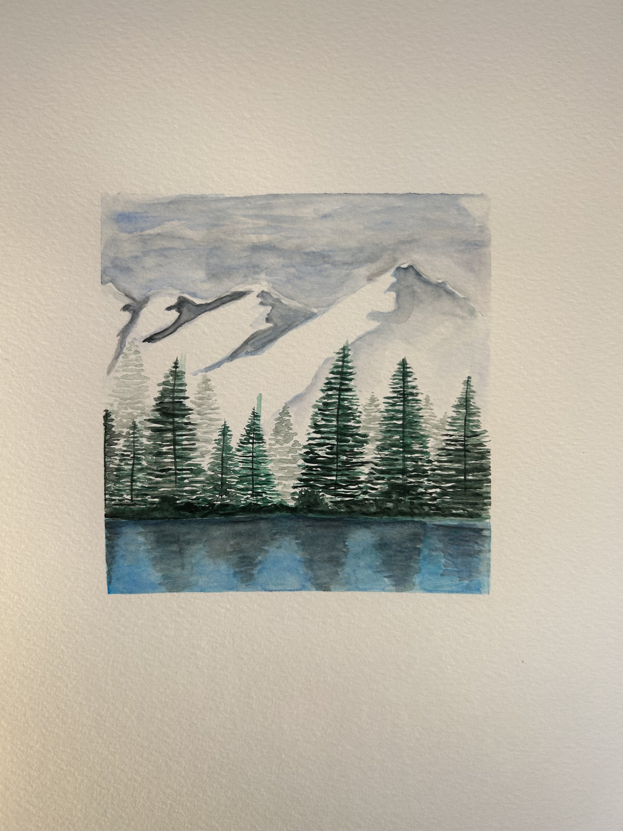 Fresh Mountain Trees