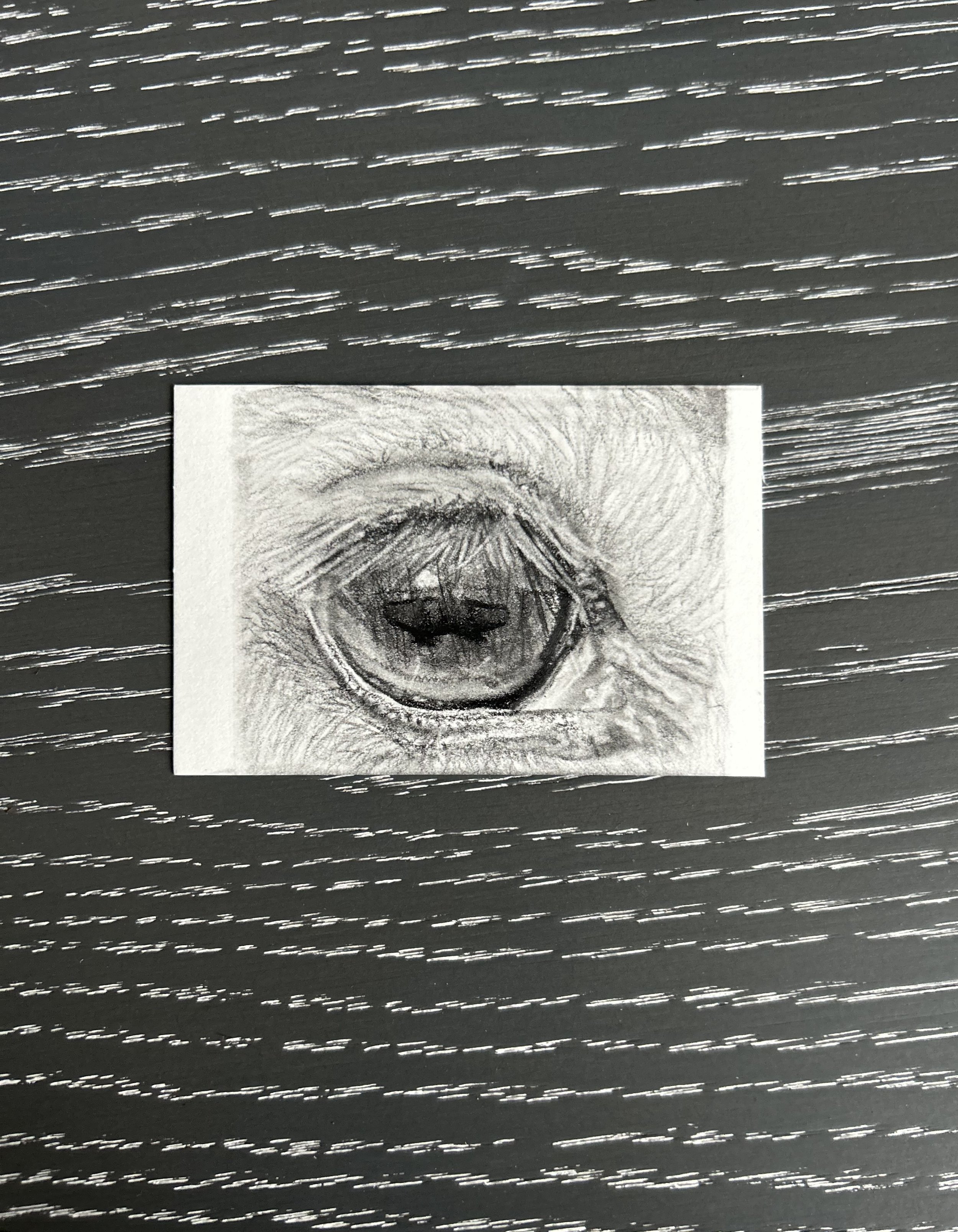 Redman's Eyeball