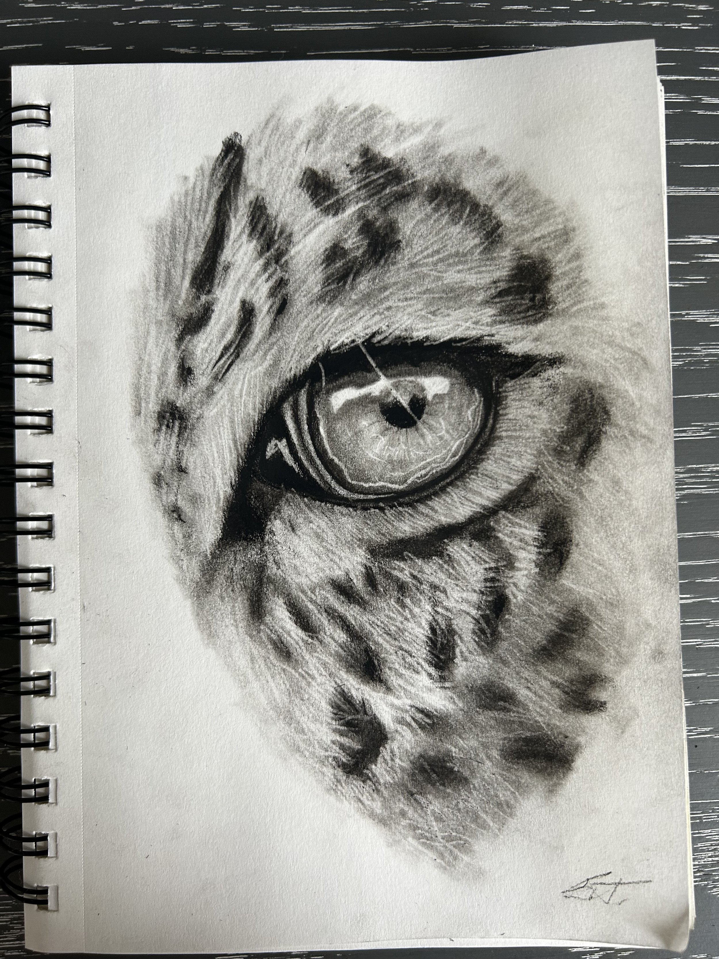 Leopard's Eye