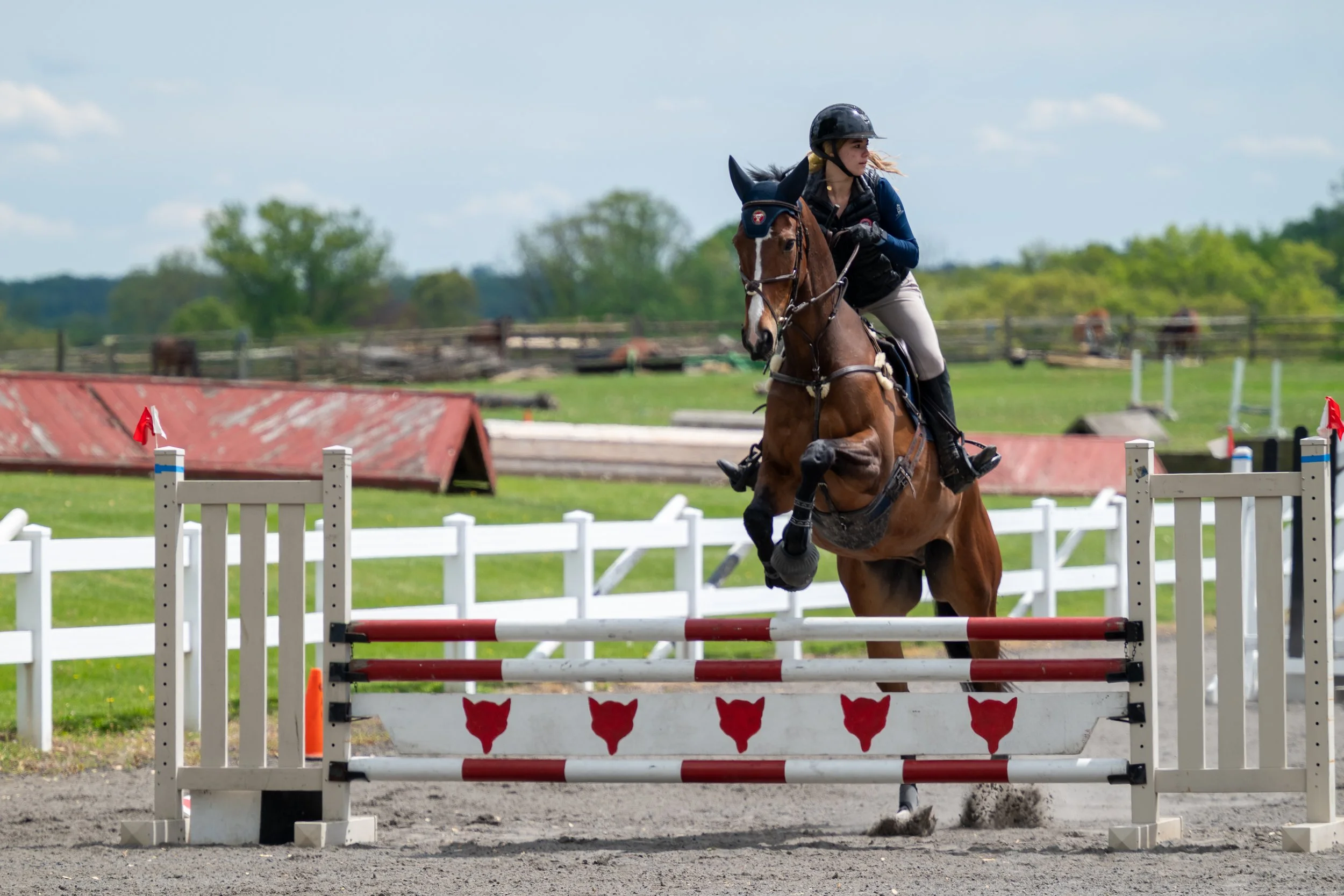 Springtacular-032.jpg