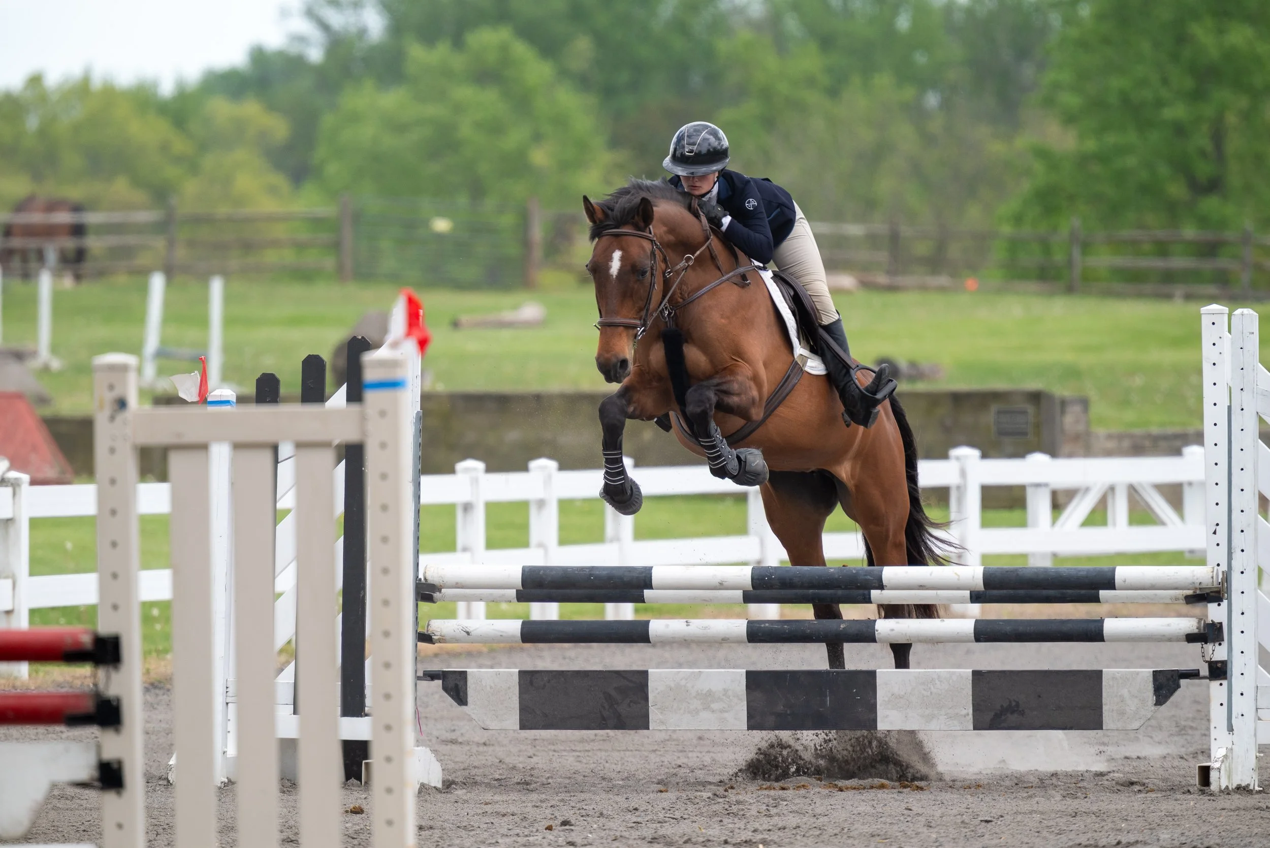 Springtacular-037.jpg