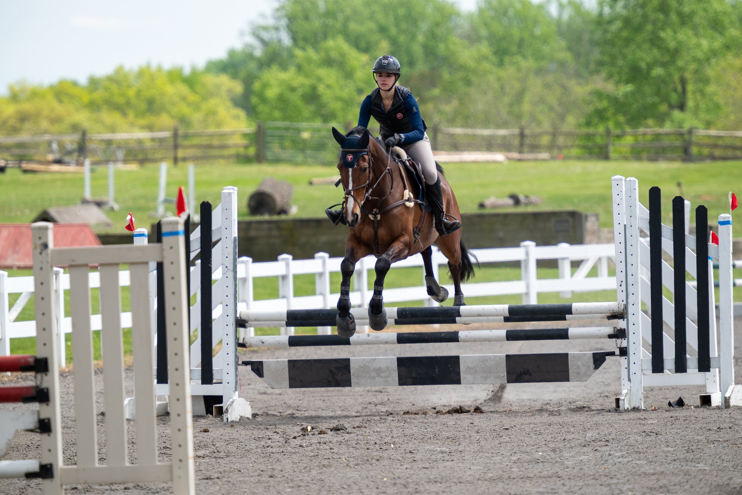 Springtacular-018.jpg