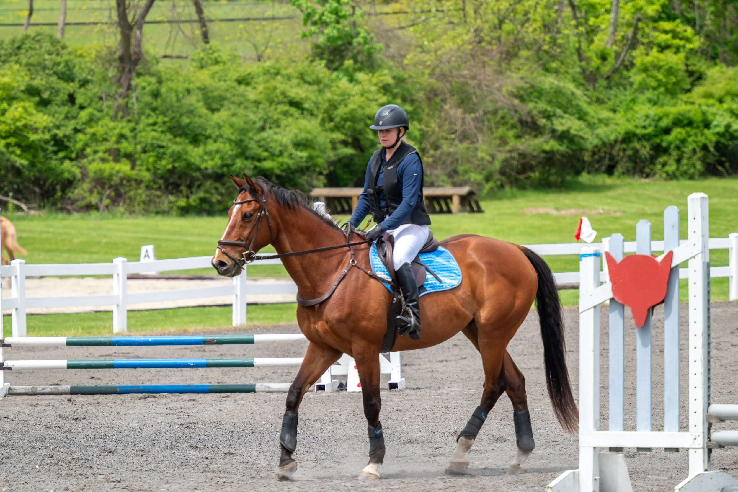 Springtacular-114.jpg