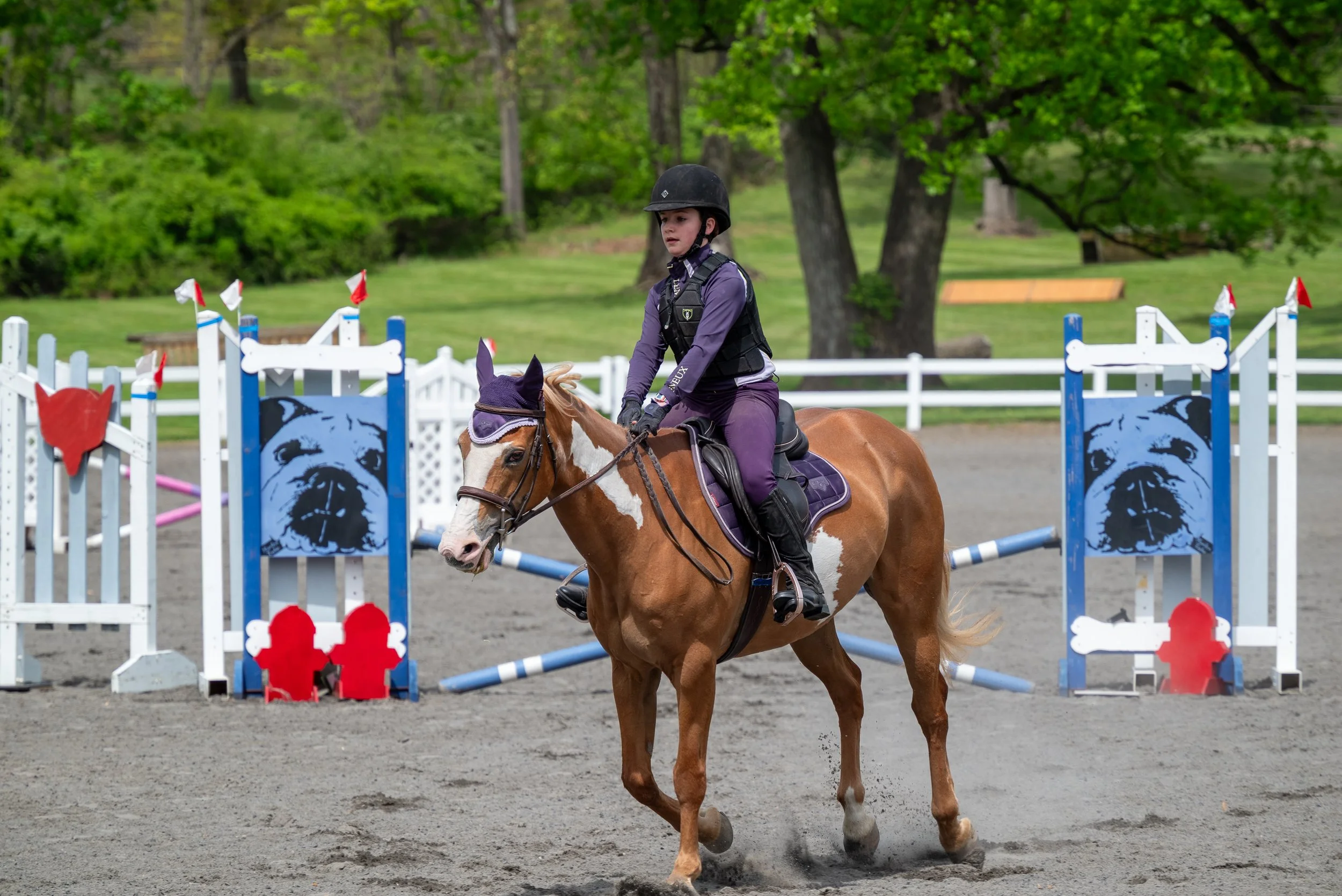 Springtacular-153.jpg