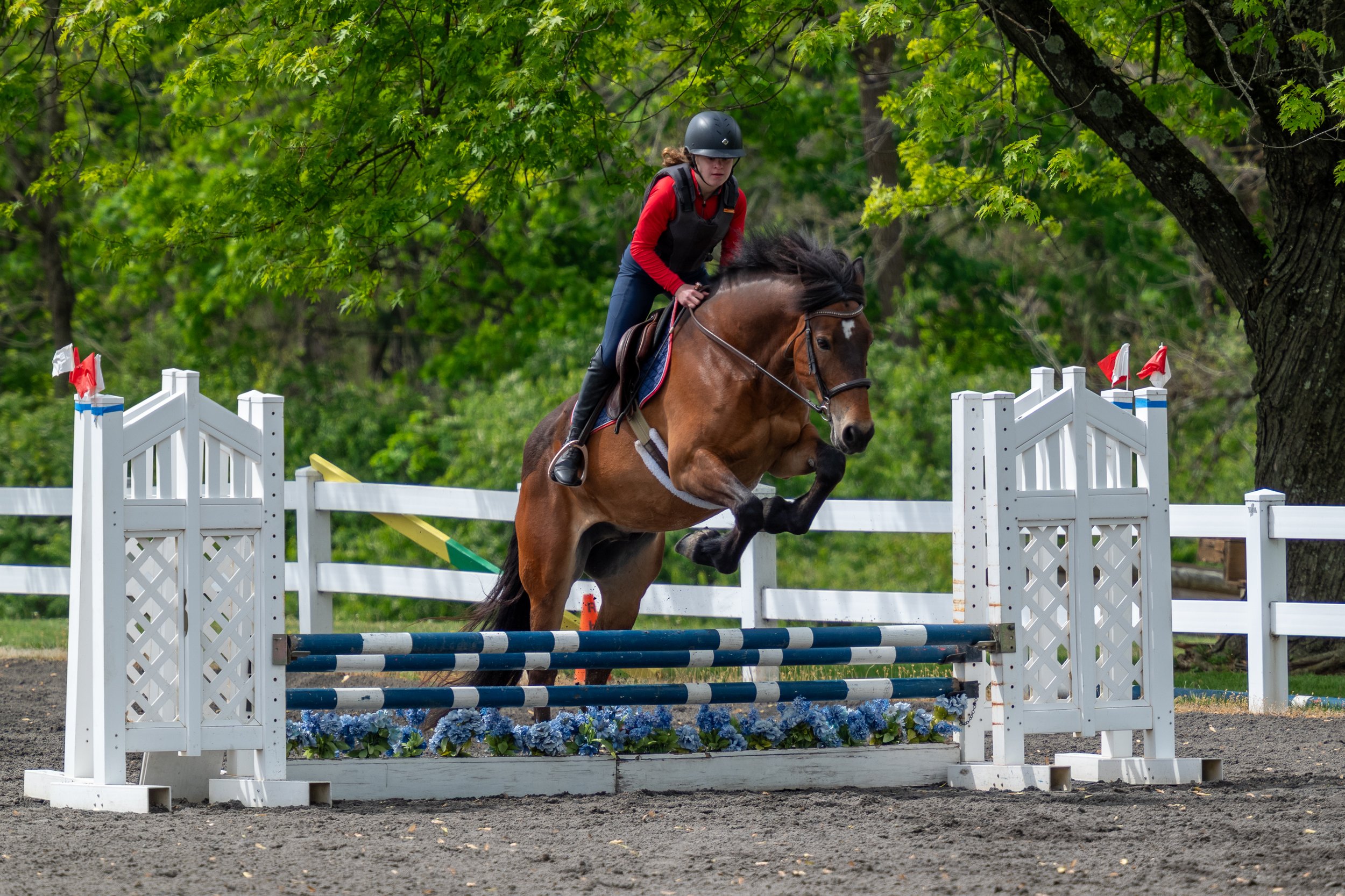 Springtacular-171.jpg