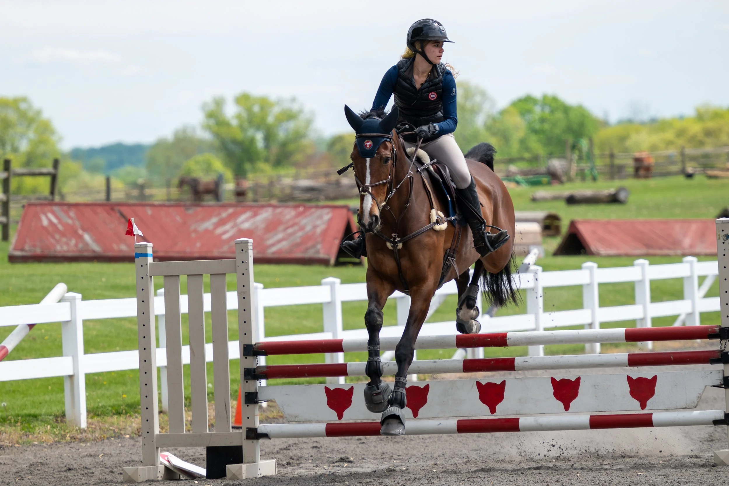 Springtacular-017.jpg