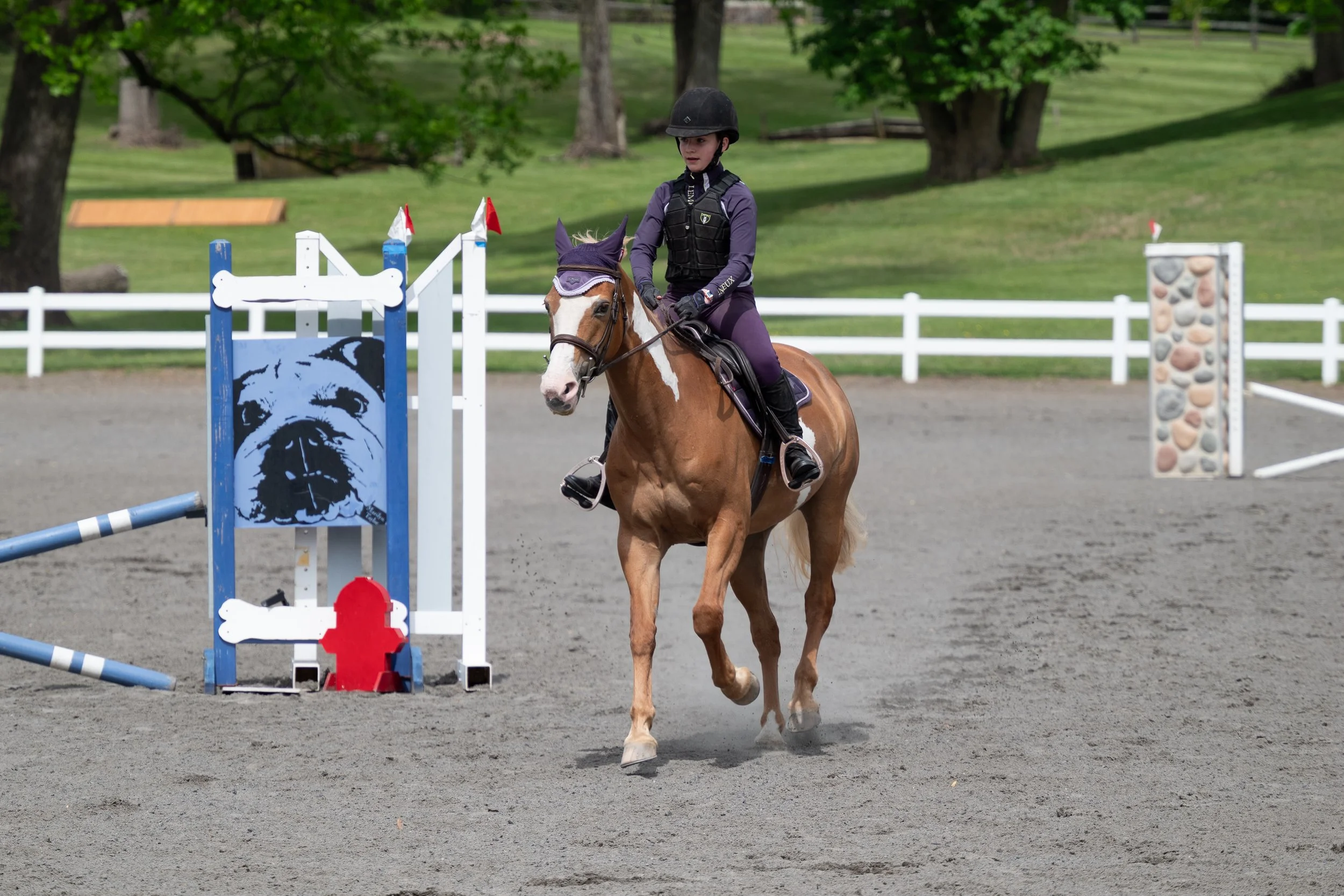 Springtacular-154.jpg