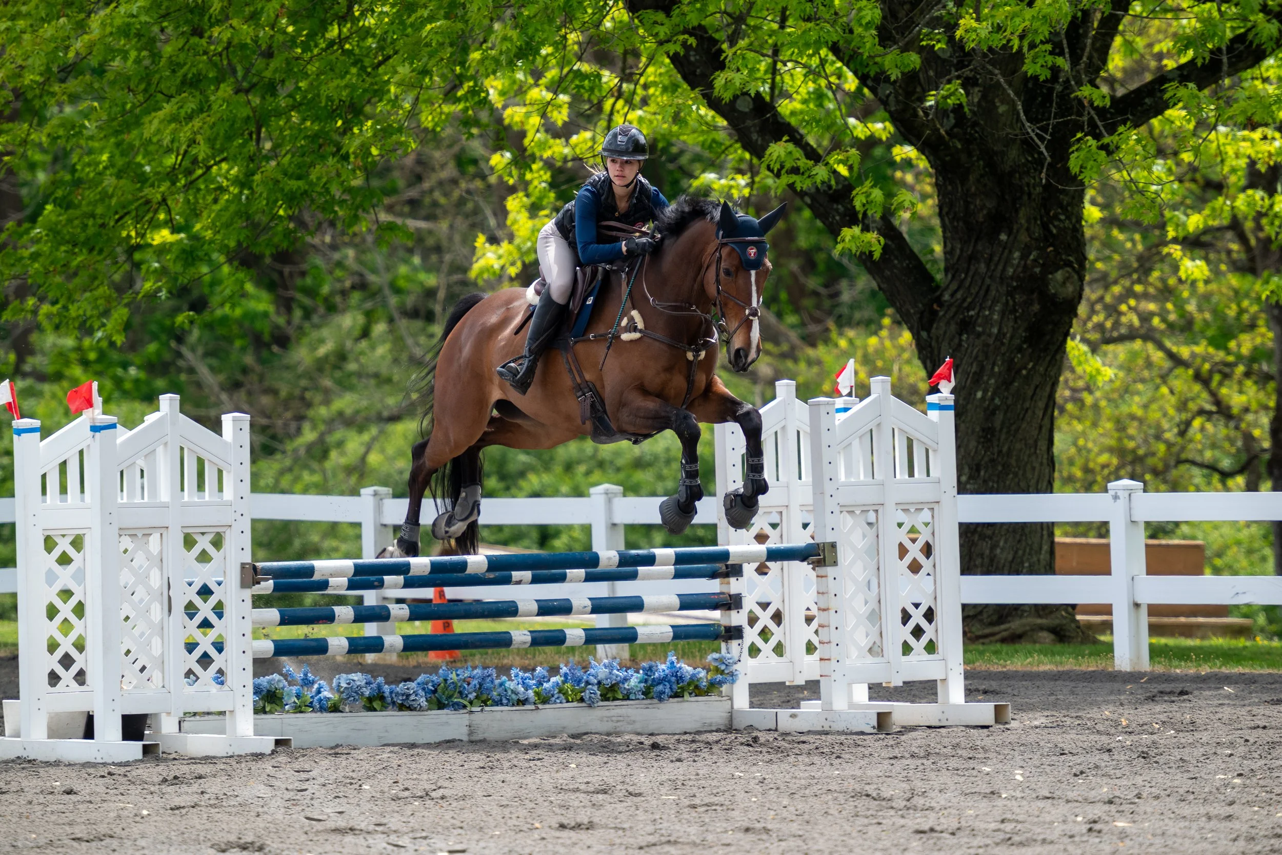 Springtacular-015.jpg