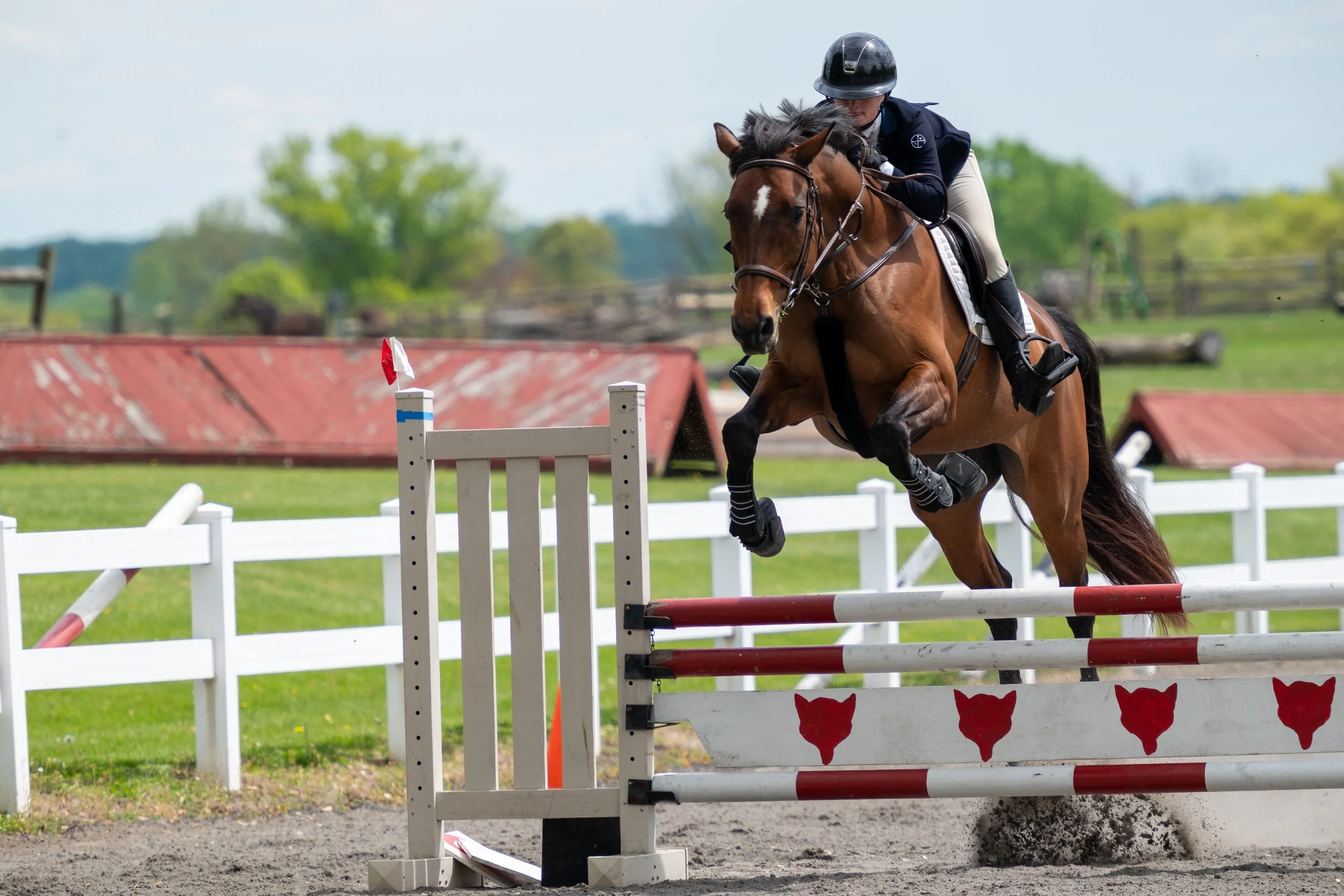 Springtacular-019.jpg