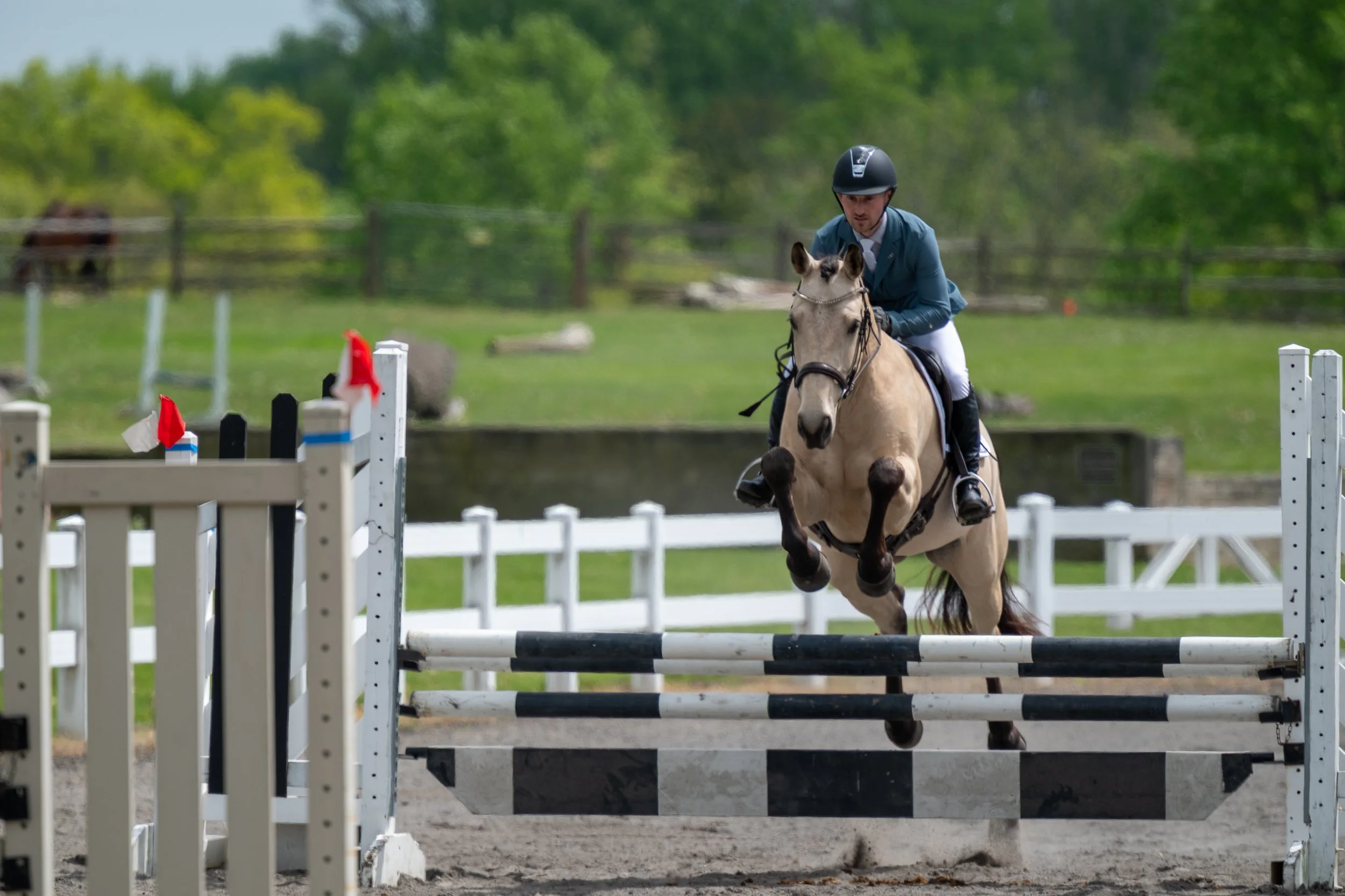 Springtacular-029.jpg
