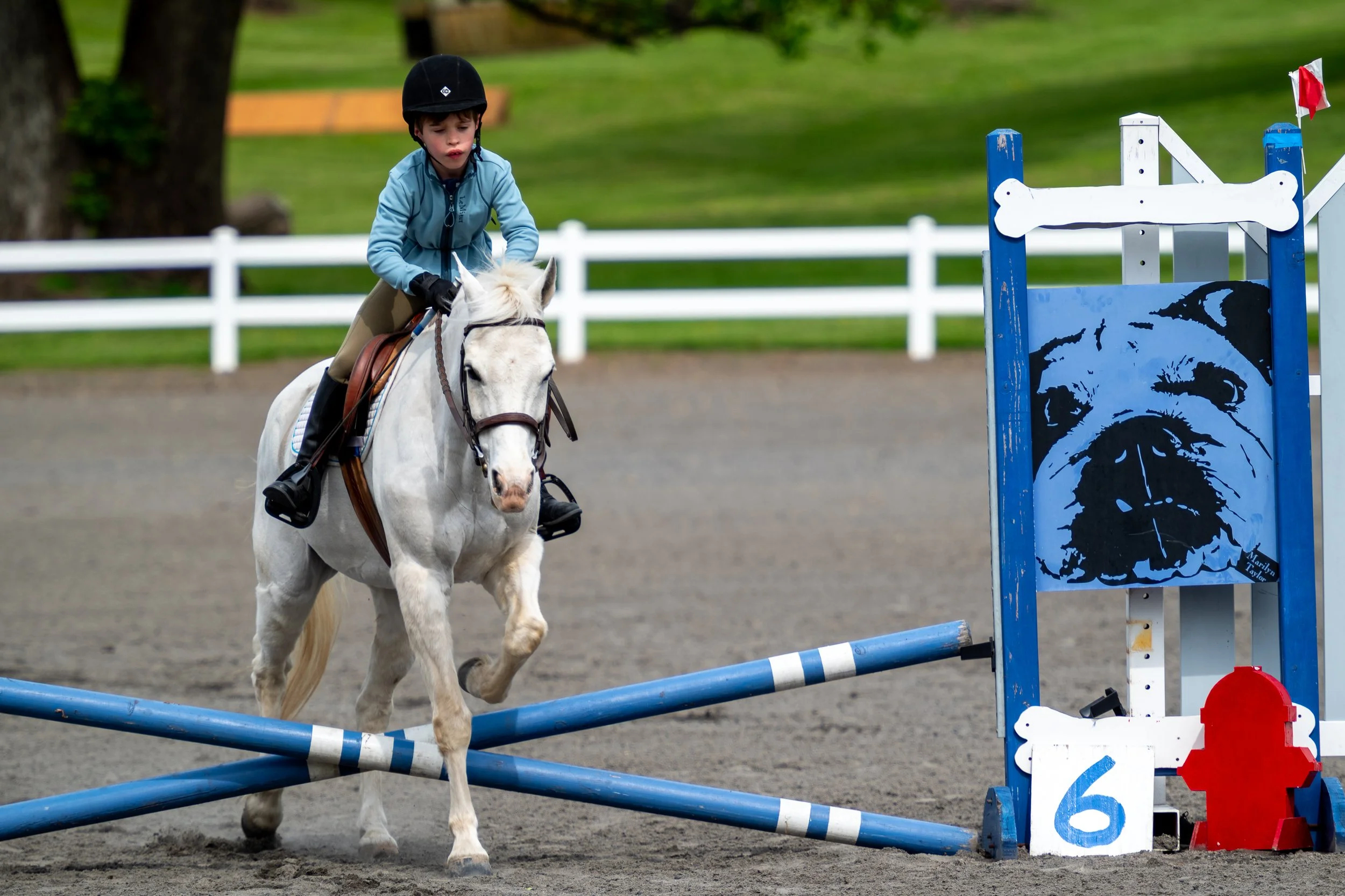 Springtacular-228.jpg