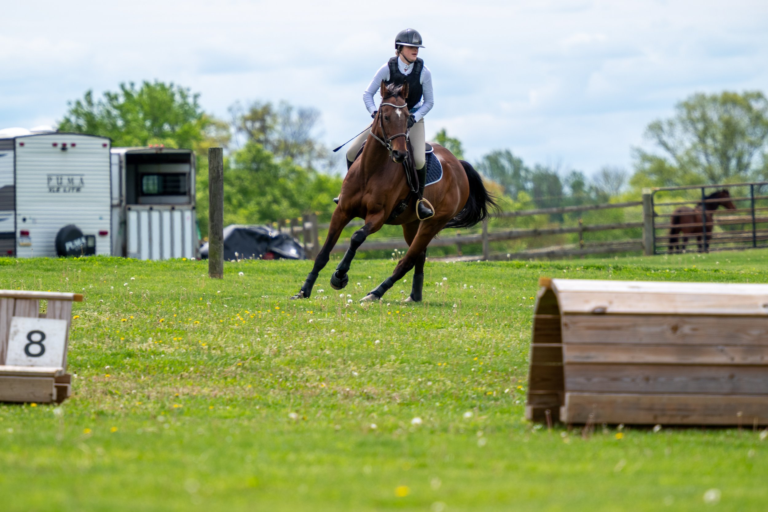 Springtacular-142.jpg