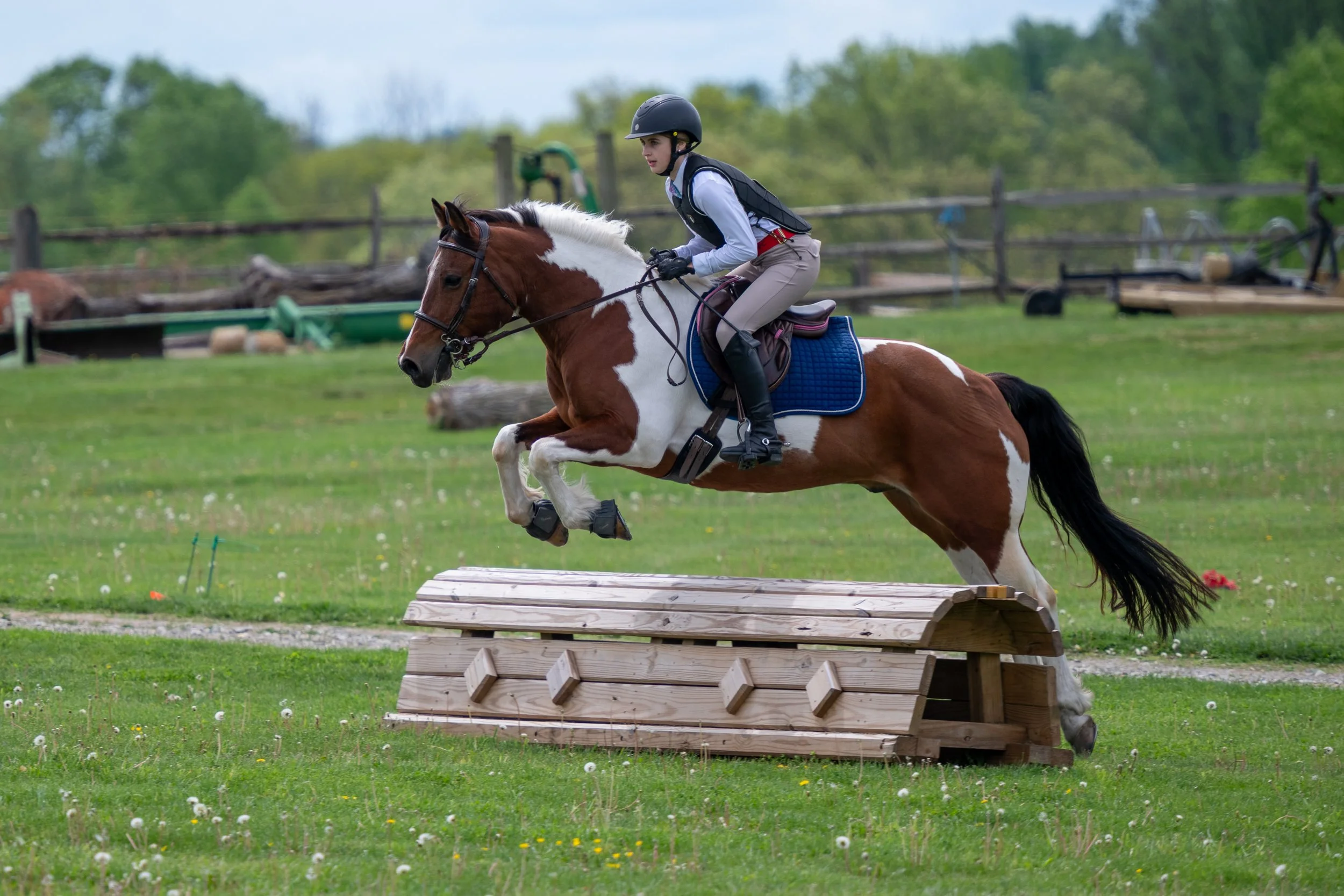 Springtacular-132.jpg
