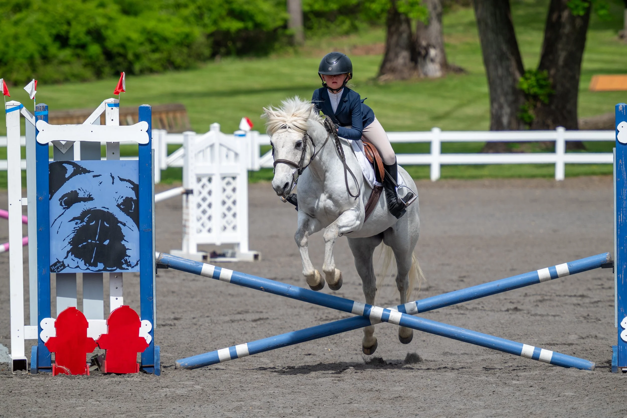 Springtacular-203.jpg