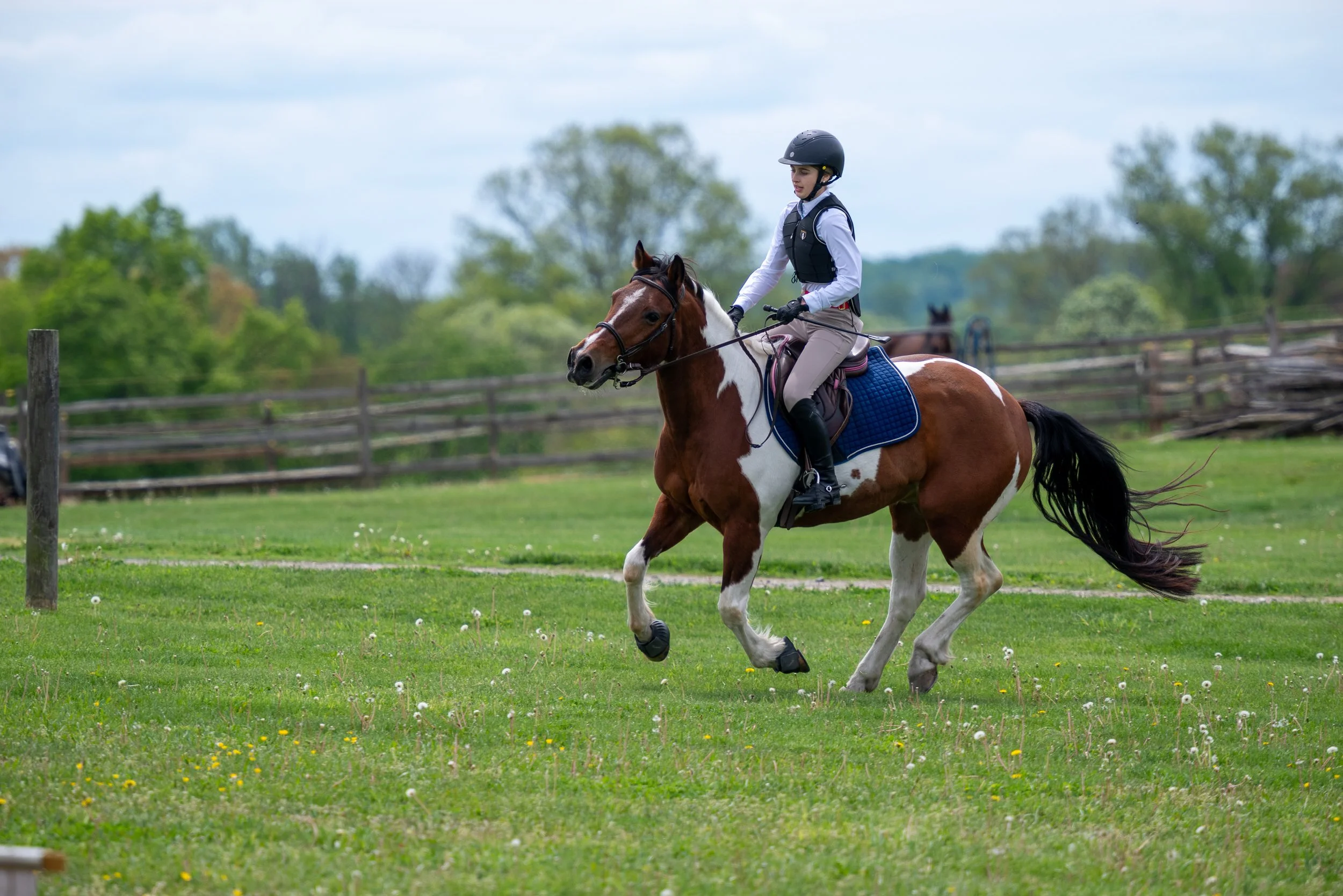 Springtacular-131.jpg