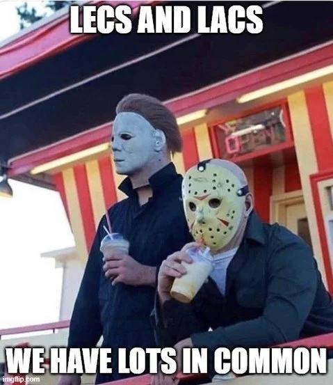 Happy (almost) Halloween from our LEO Union fam of lecturers, librarians, archivists, and curators! Come make more memes with the Comms Team on November 6th at 5:30pm at Mothfire Brewing in Ann Arbor.
