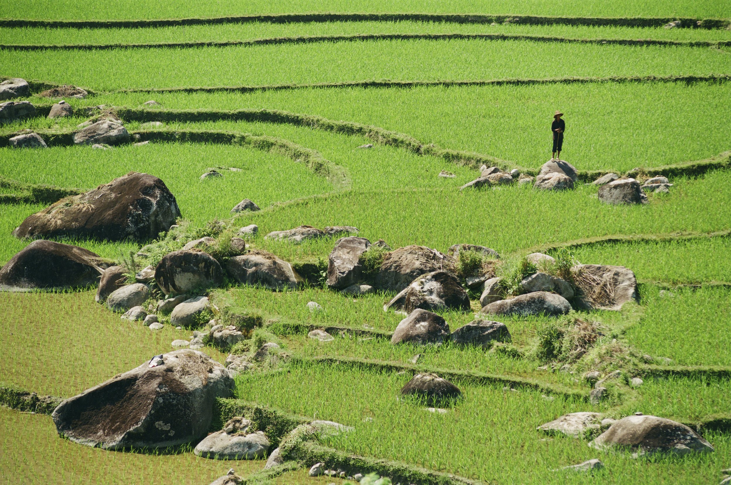 Farmer at his rice terraces. Yunnan, China, 2005