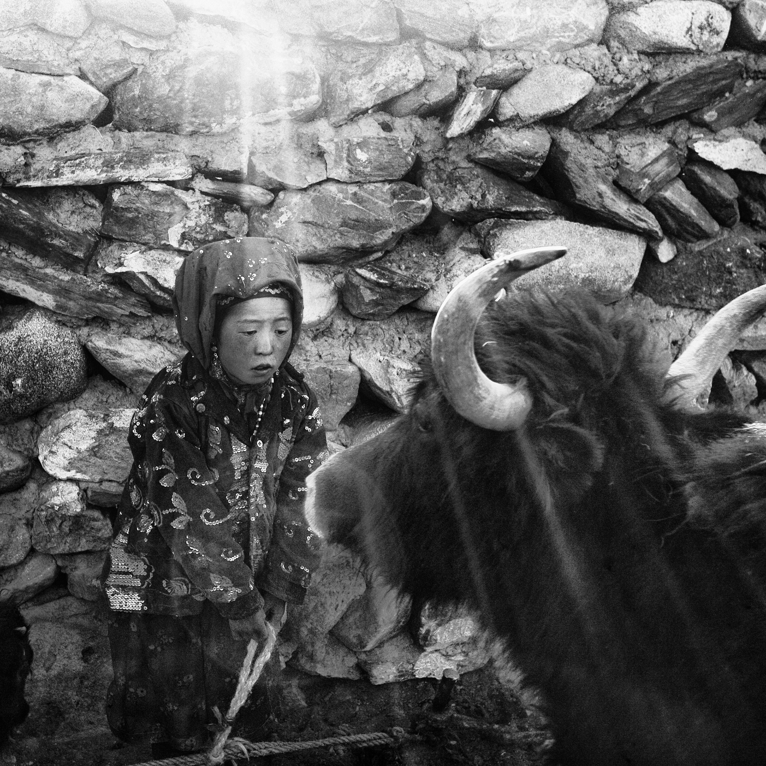 Kyrgyz girl herding yak in Bozai Gumbaz, former Soviet outpost. Wakhan corridor, Afghanistan, 2009