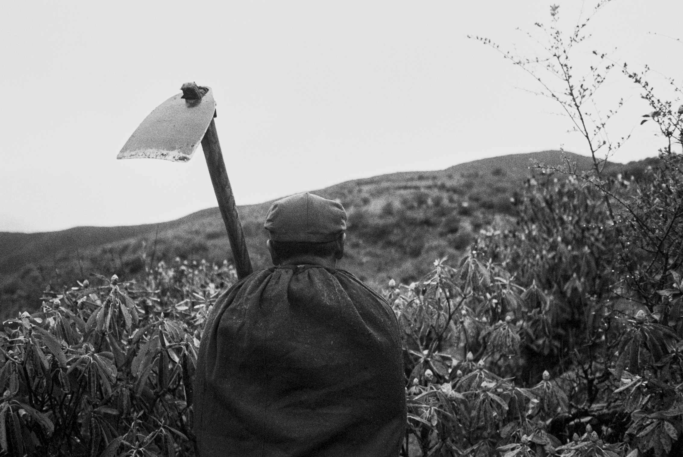 Yi farmer. Liangshan, China, 2019
