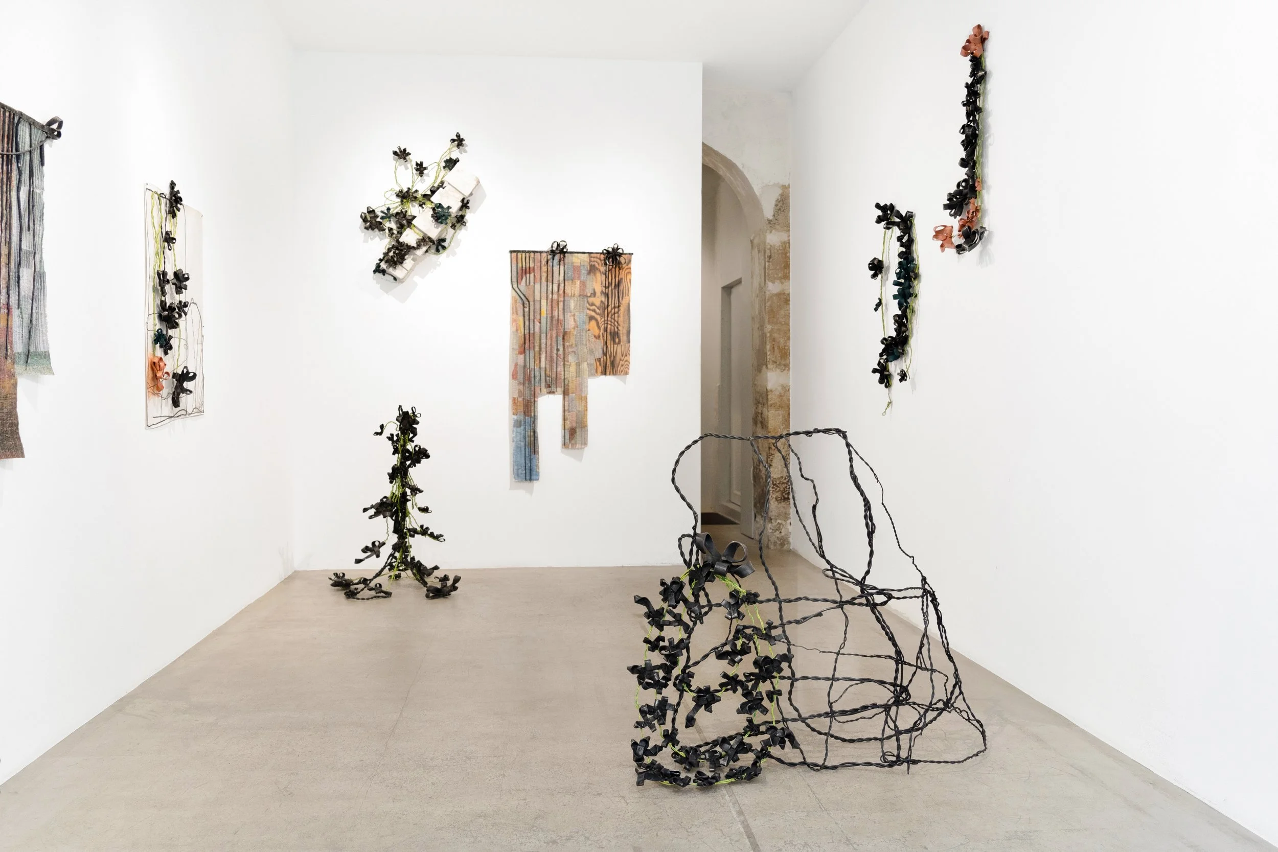 WALL FLOWERS - Galerie Anne-Laure Buffard 2025 / Paris (FR)