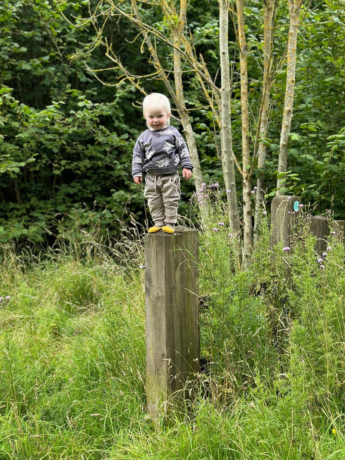 WhatsApp Image 2026-02-04 at 11.08.31.jpeg