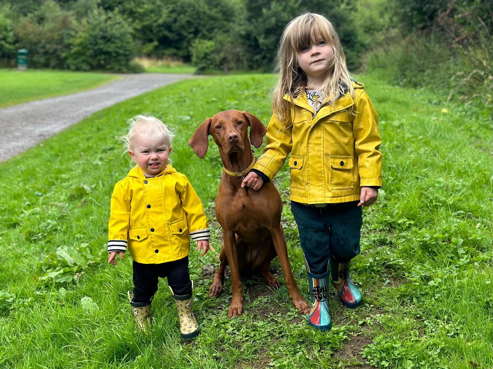 WhatsApp Image 2026-02-04 at 11.08.38.jpeg