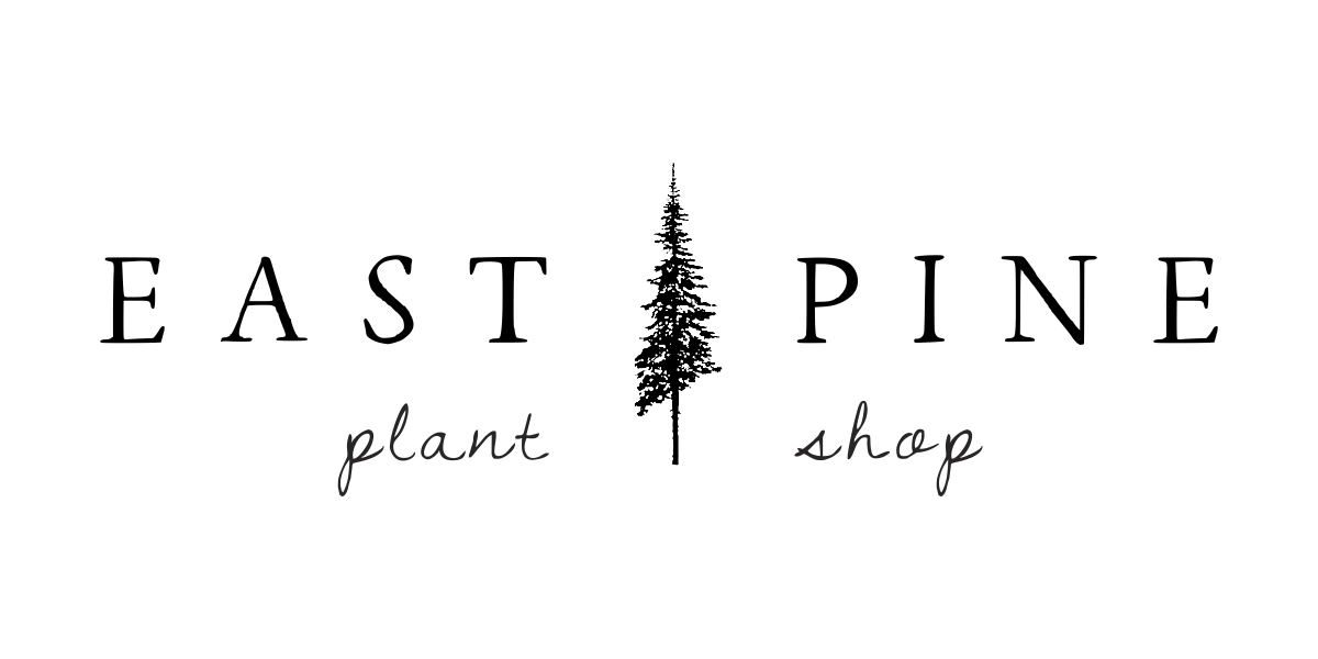 East Pine Plant Shop