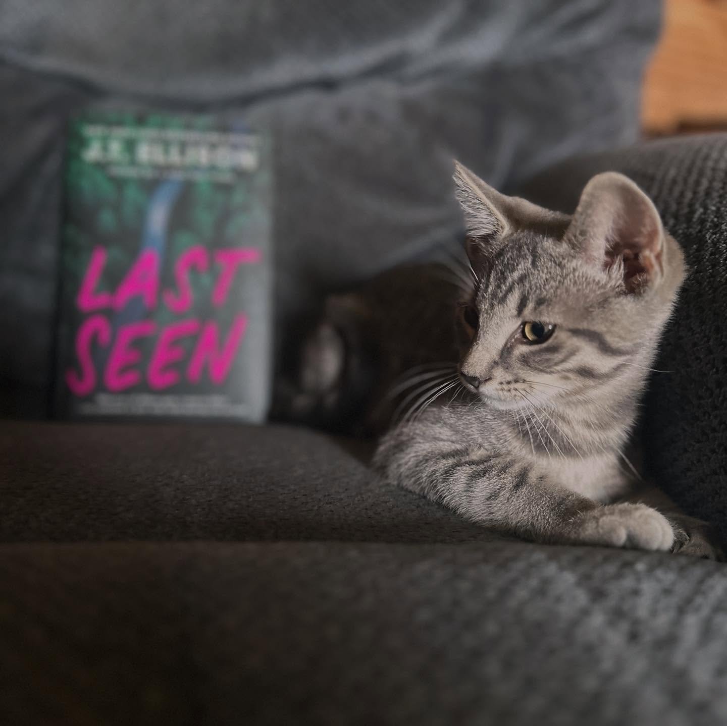 ✨BOOK MAIL + KITTEN CAMEO✨

I devoured this one. #LastSeen by @thrillerchick (J.T. Ellison) releases August 1st, and I think it&rsquo;s my favorite of her standalones yet (I know I say that every time).😅 It&rsquo;s dark, emotional, and razor-sharp.
