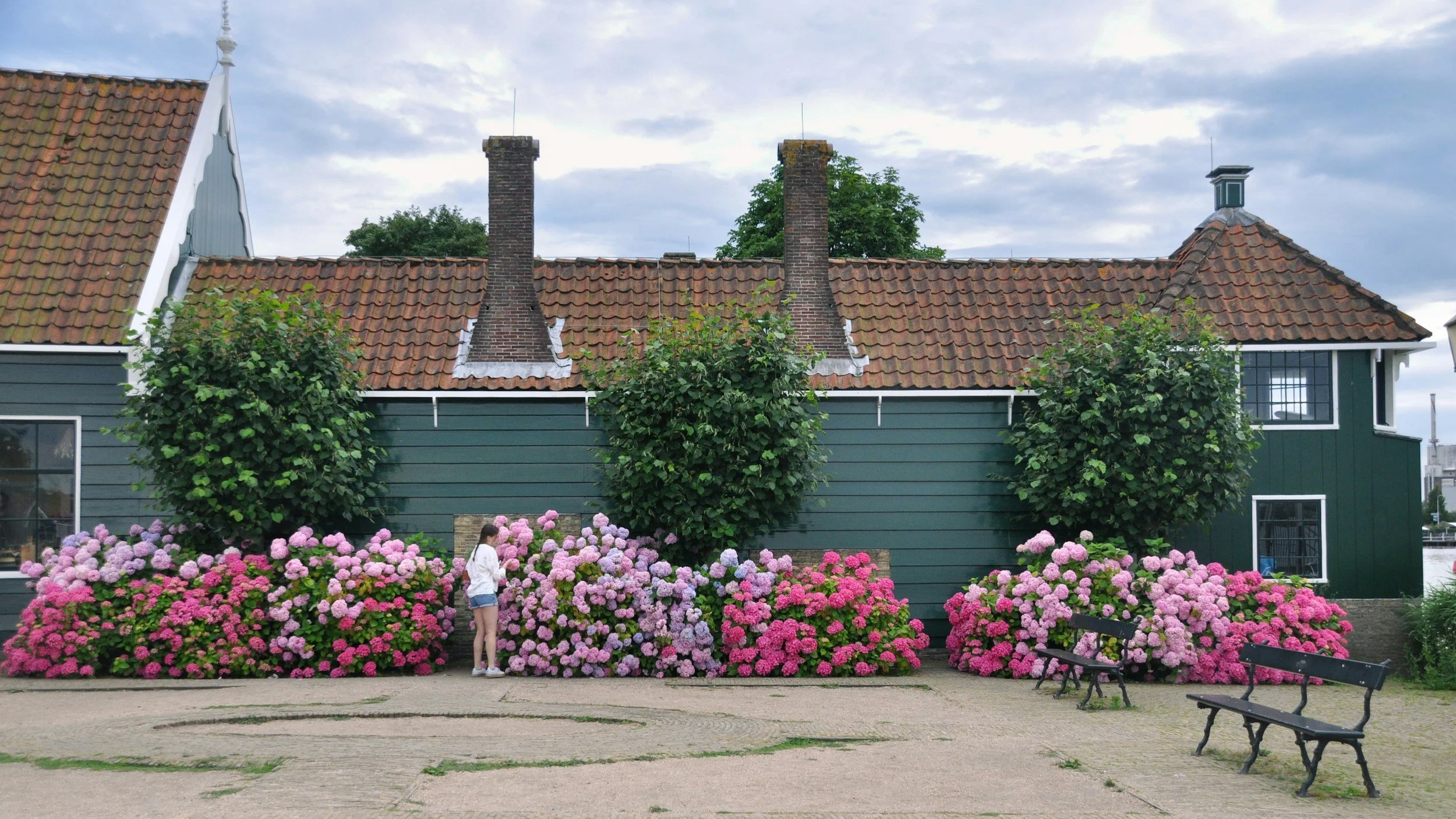 Manifesting a Rhode Island Hydrangea Summer: 6 Books for the Vibe