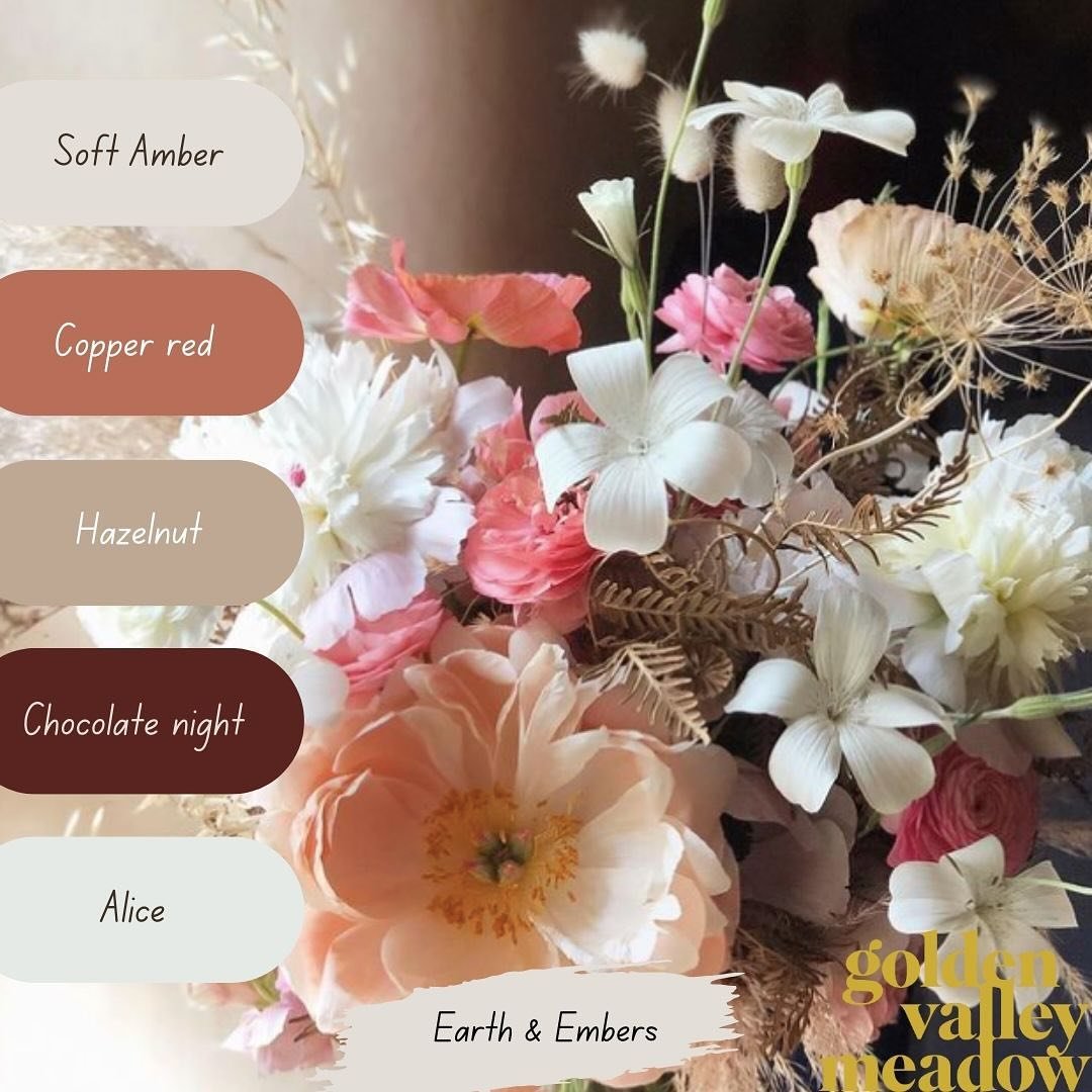 Introducing 'Earth and Embers' 🔥🔥

A captivating blend of ivory, copper red, and fawn, this colourway is proving really popular for our 2025 weddings, is she the one for you? 

Soft Amber

Copper red

Chocolate Night

Hazelnut

Amber 

#EarthandEmb