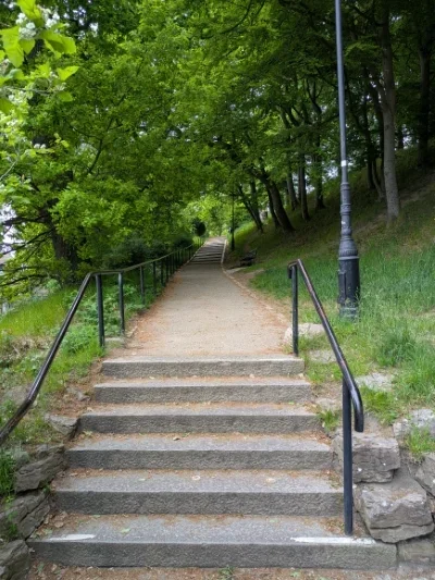 Set of 6 steps surrounded by lush greenery in a serene park setting