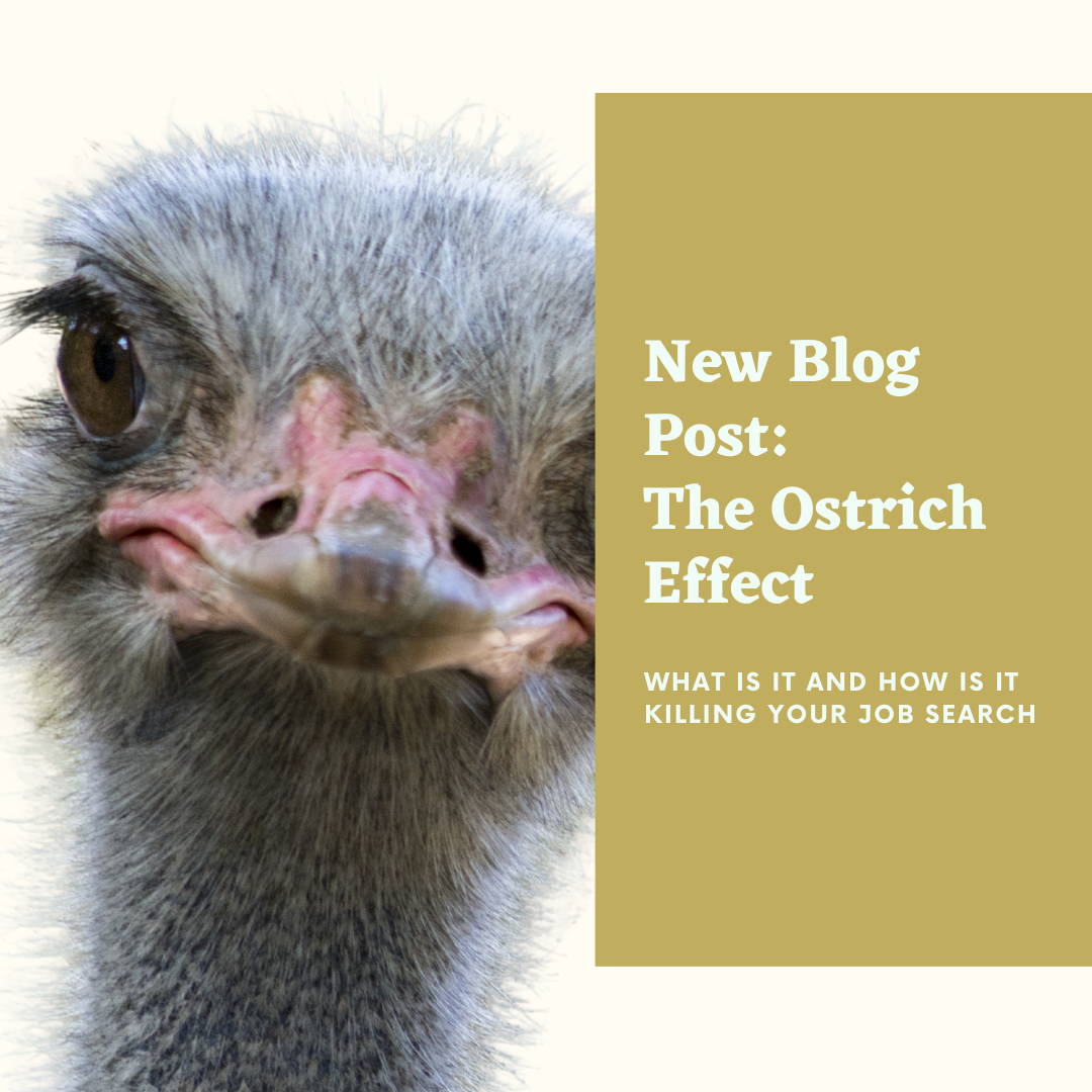 The Ostrich Effect: What Is It and How Is It Killing Your Job Search