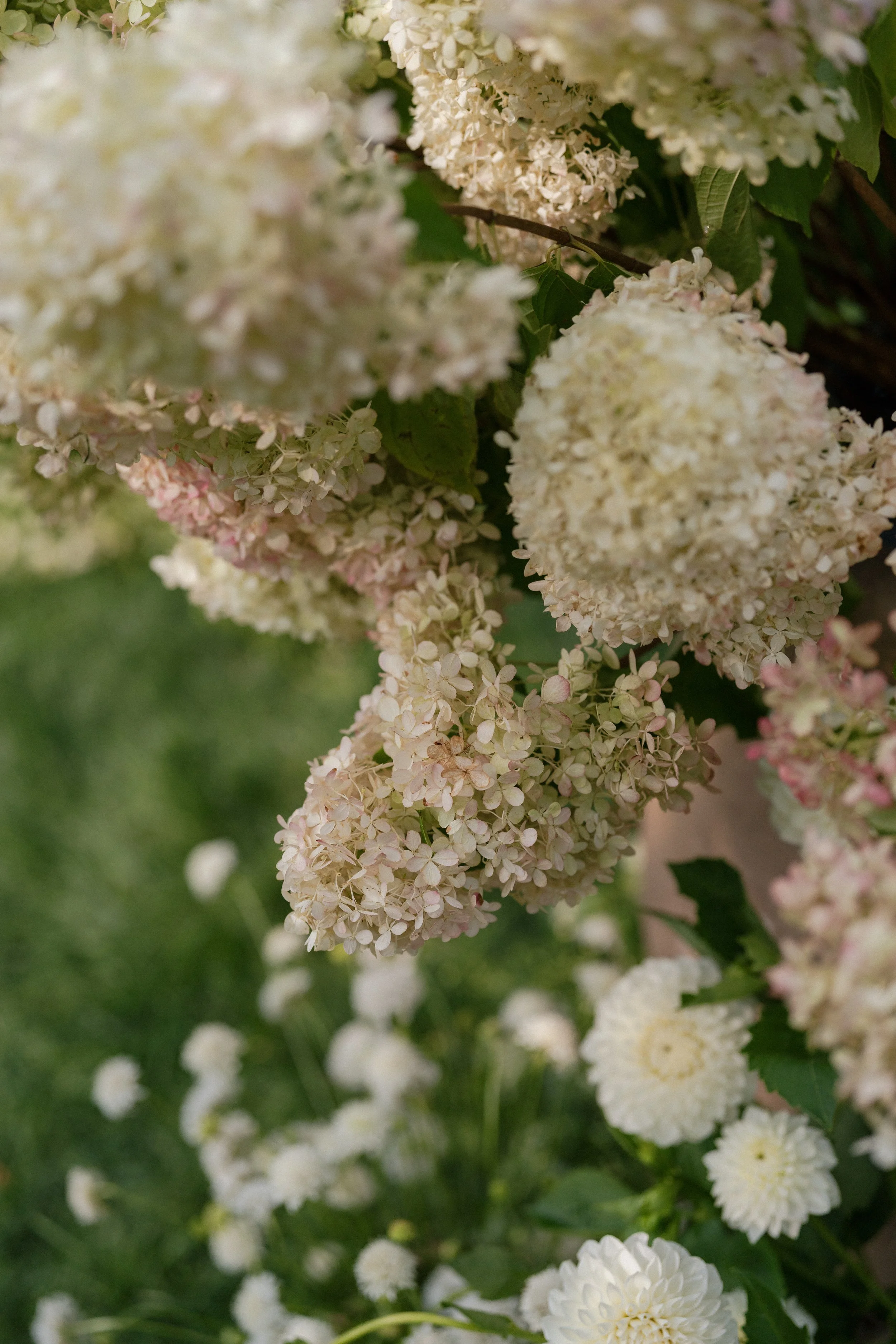 Danielle + Jonathan_Topping Rose_Wedding_2025_5068.jpg