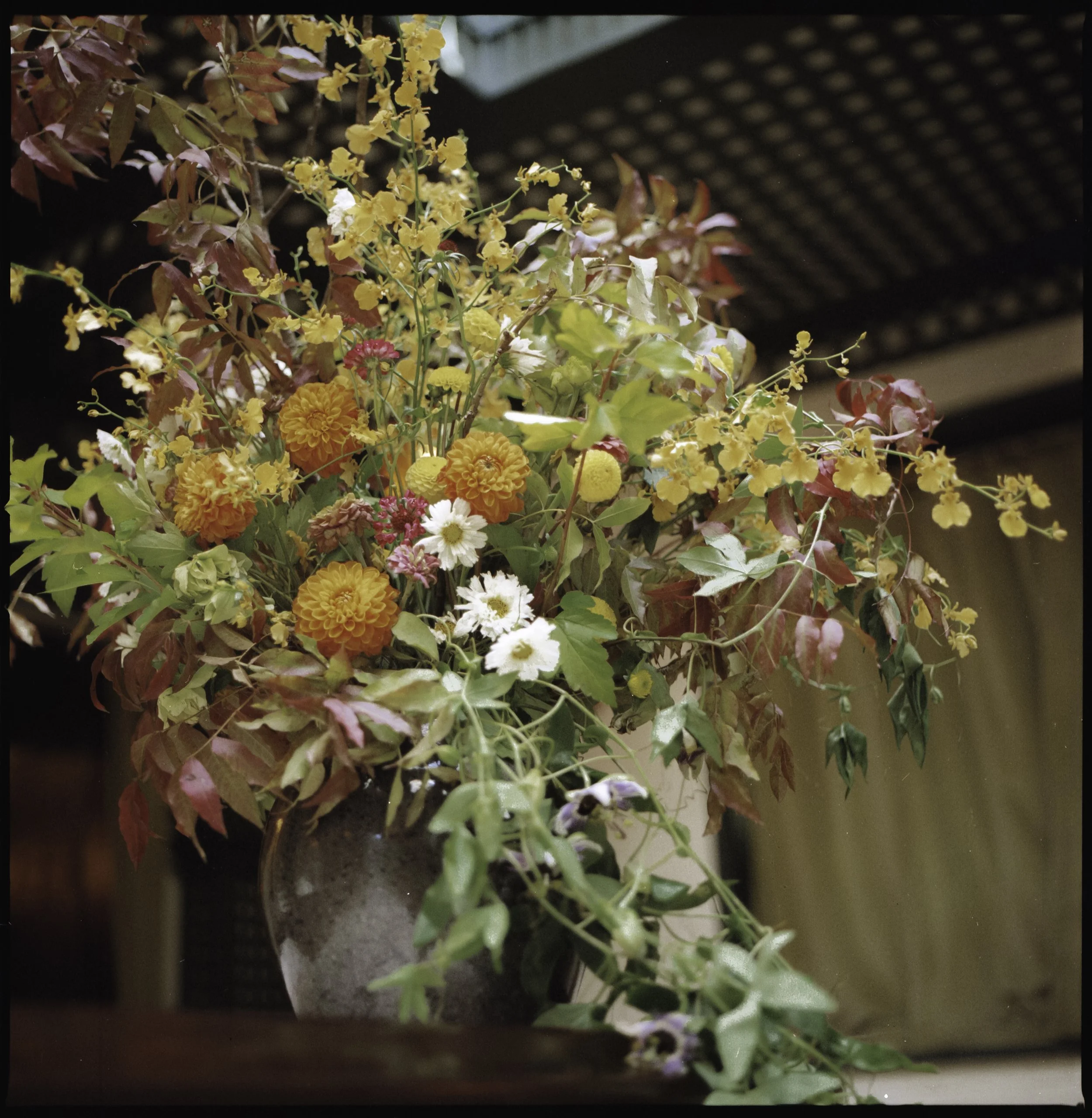 autumn at the Hotel Chelsea