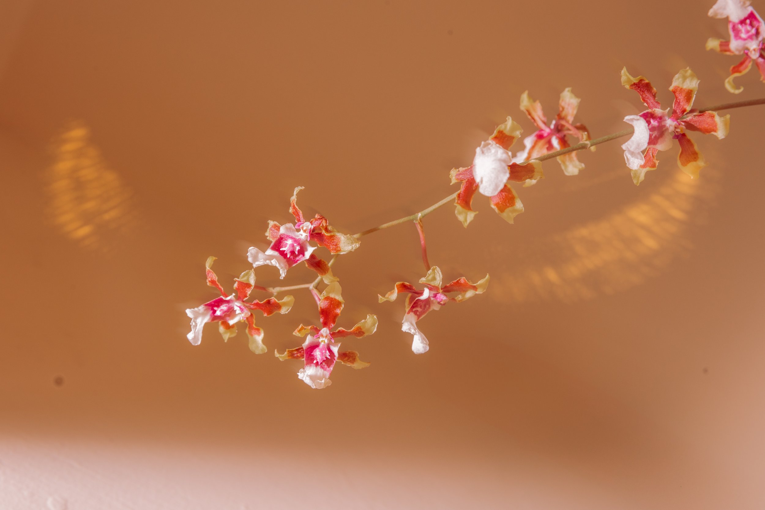 409A7040-2.jpg