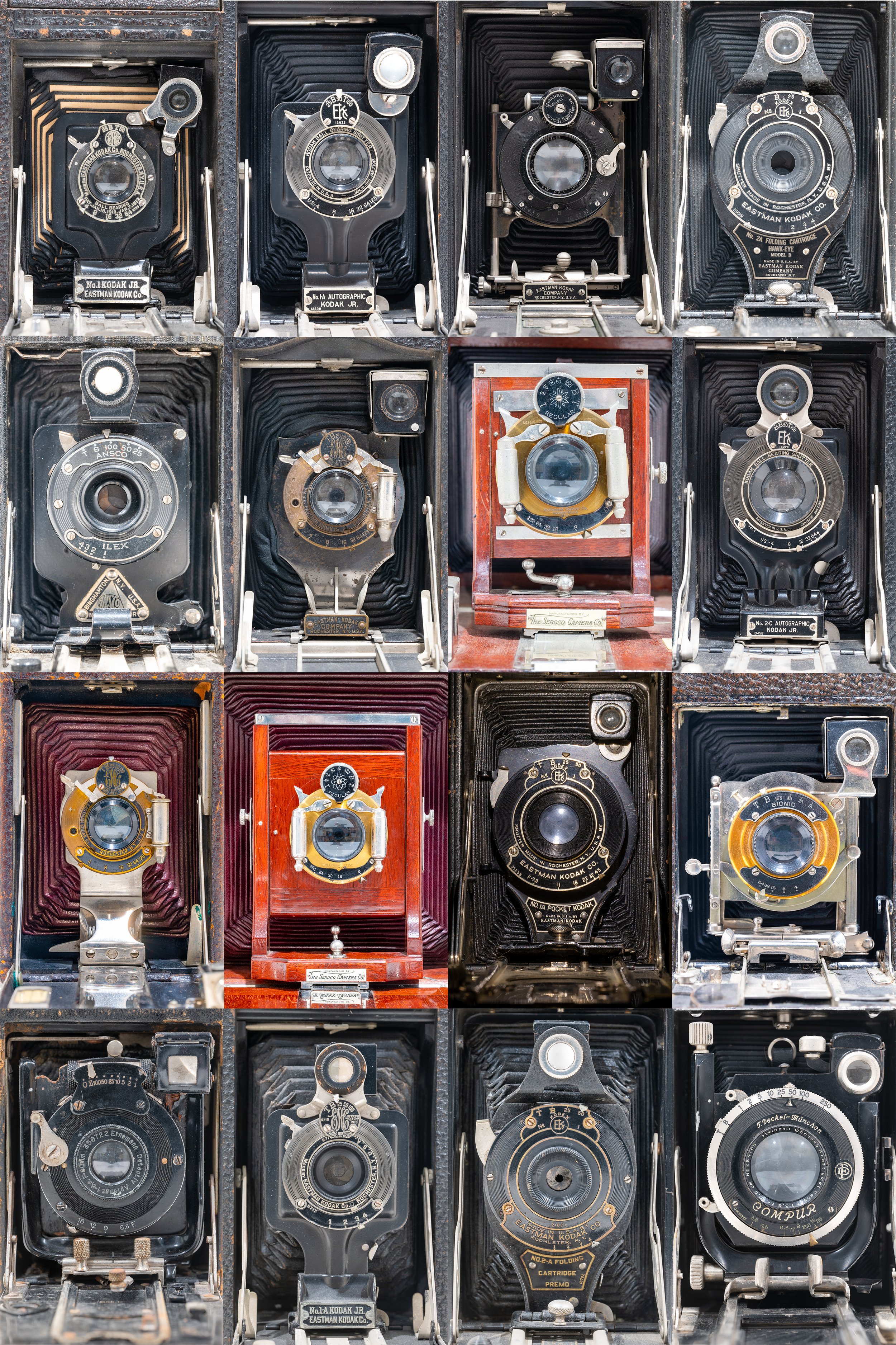 Face of photography soc.jpg
