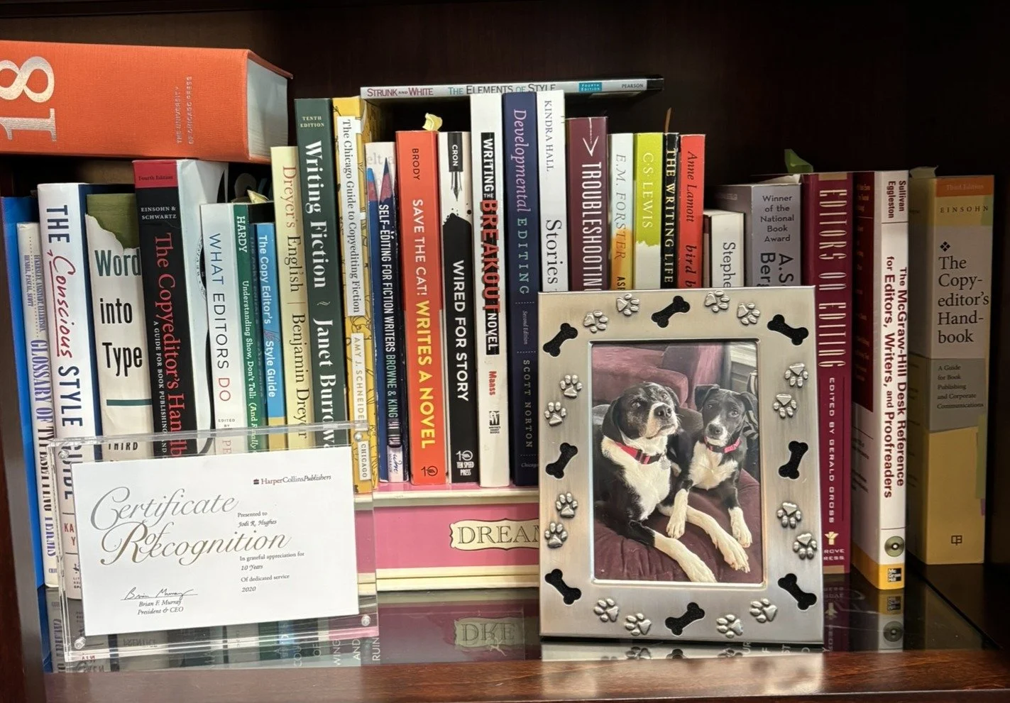 Books on a bookcase