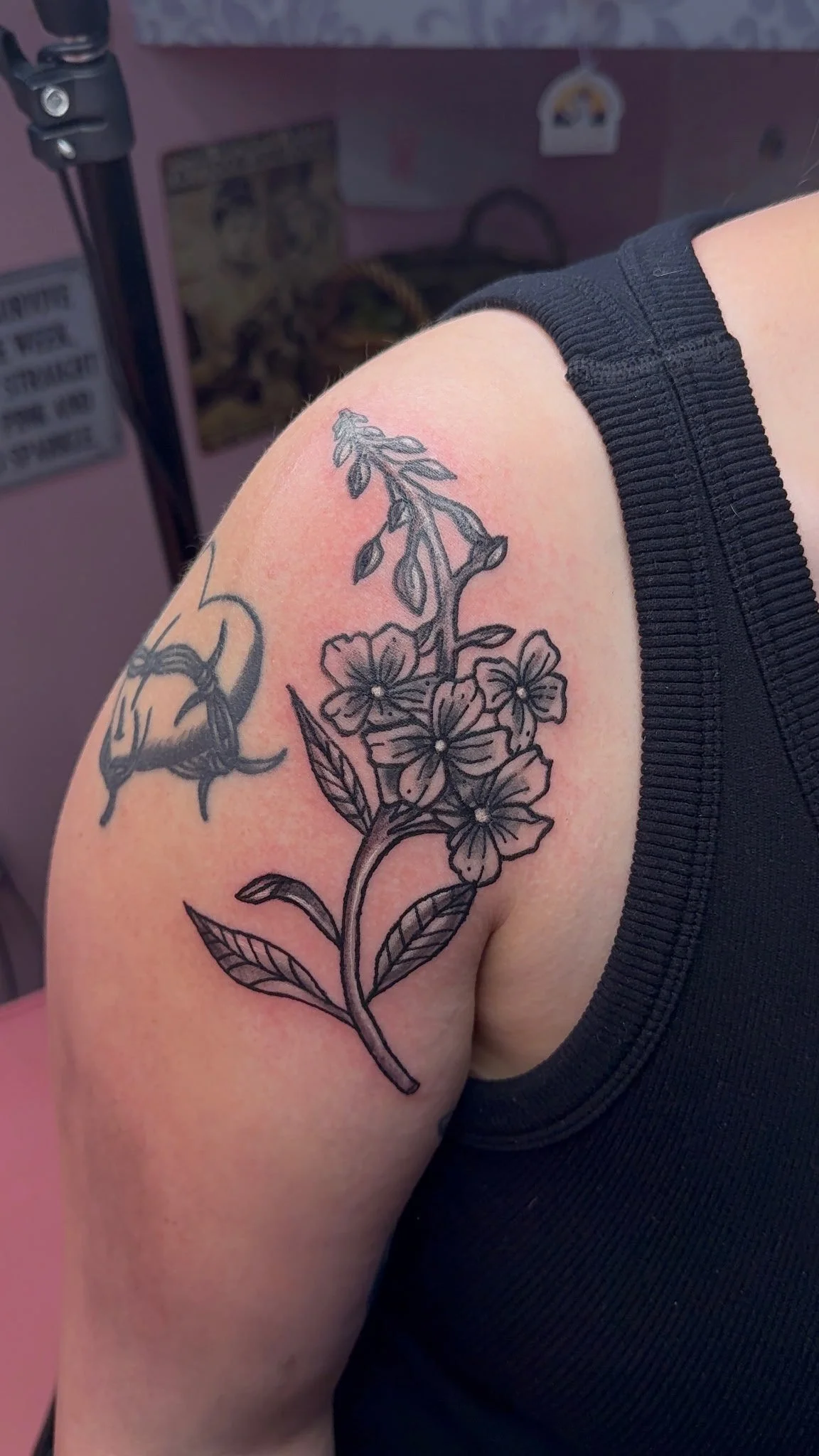 IMG_20260526_101308 (2).jpg