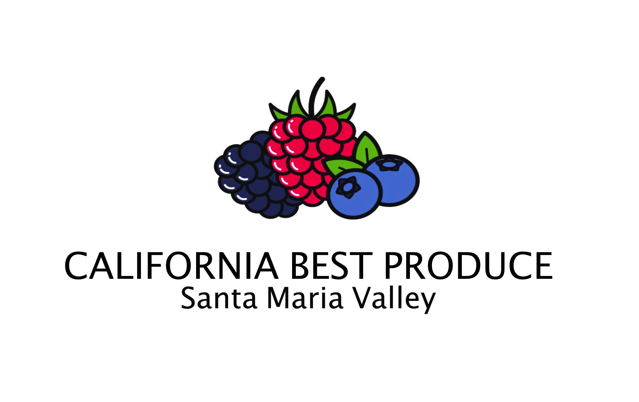 new co logos cbp:ra.JPG