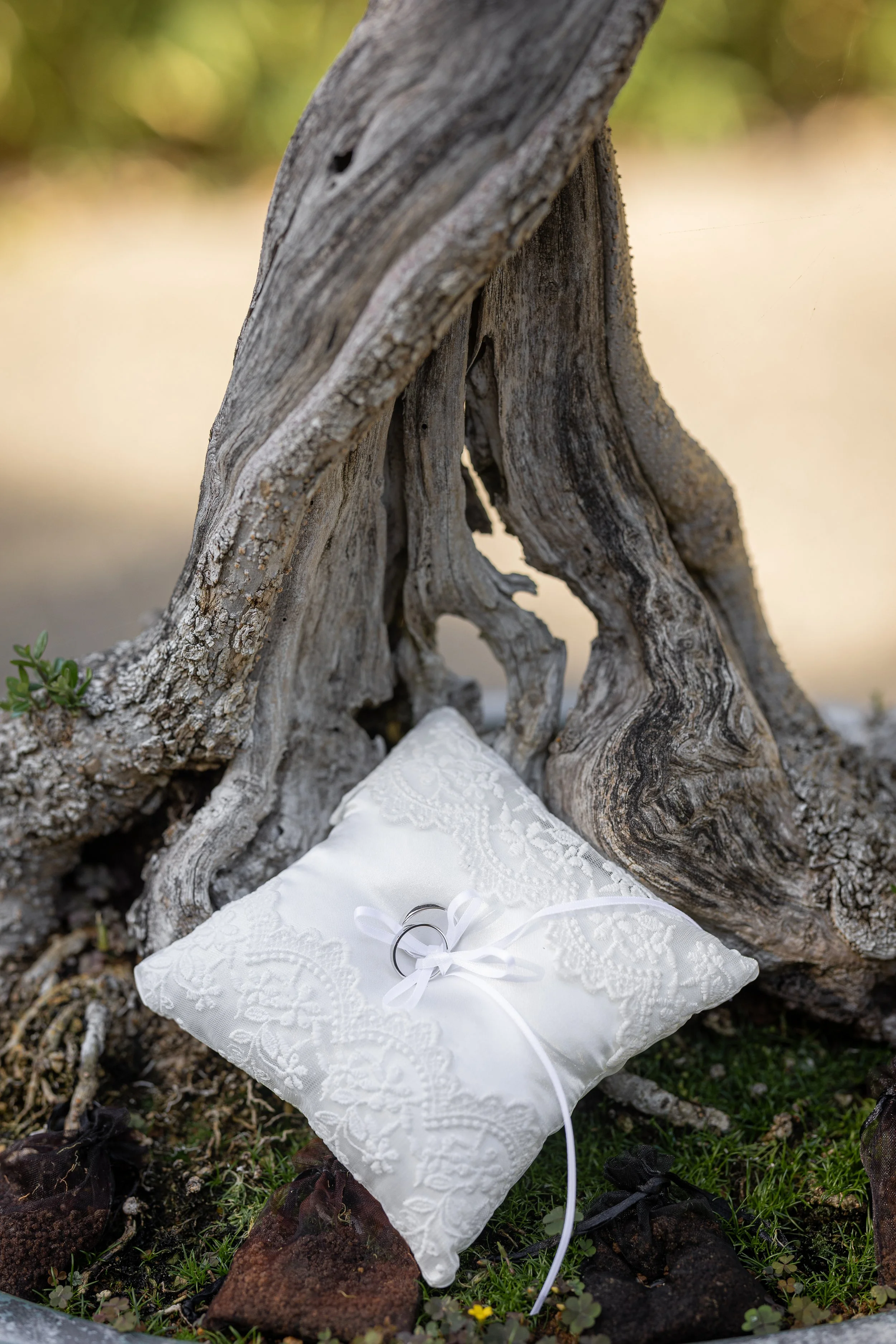 Hochzeit_Sarah_Luke_Wolf_Bonsaigarten_HD_26.09.2026-22.jpg