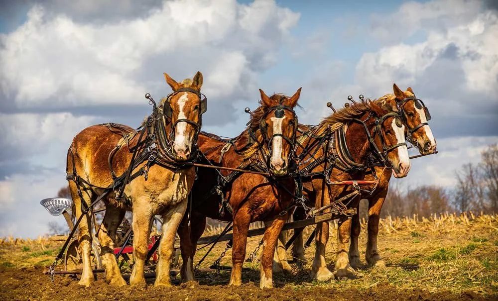The Quiet Workhorse: Why Apache ActiveMQ Still Wins the Enterprise
