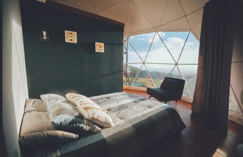 higueron guacimo 1.jpg