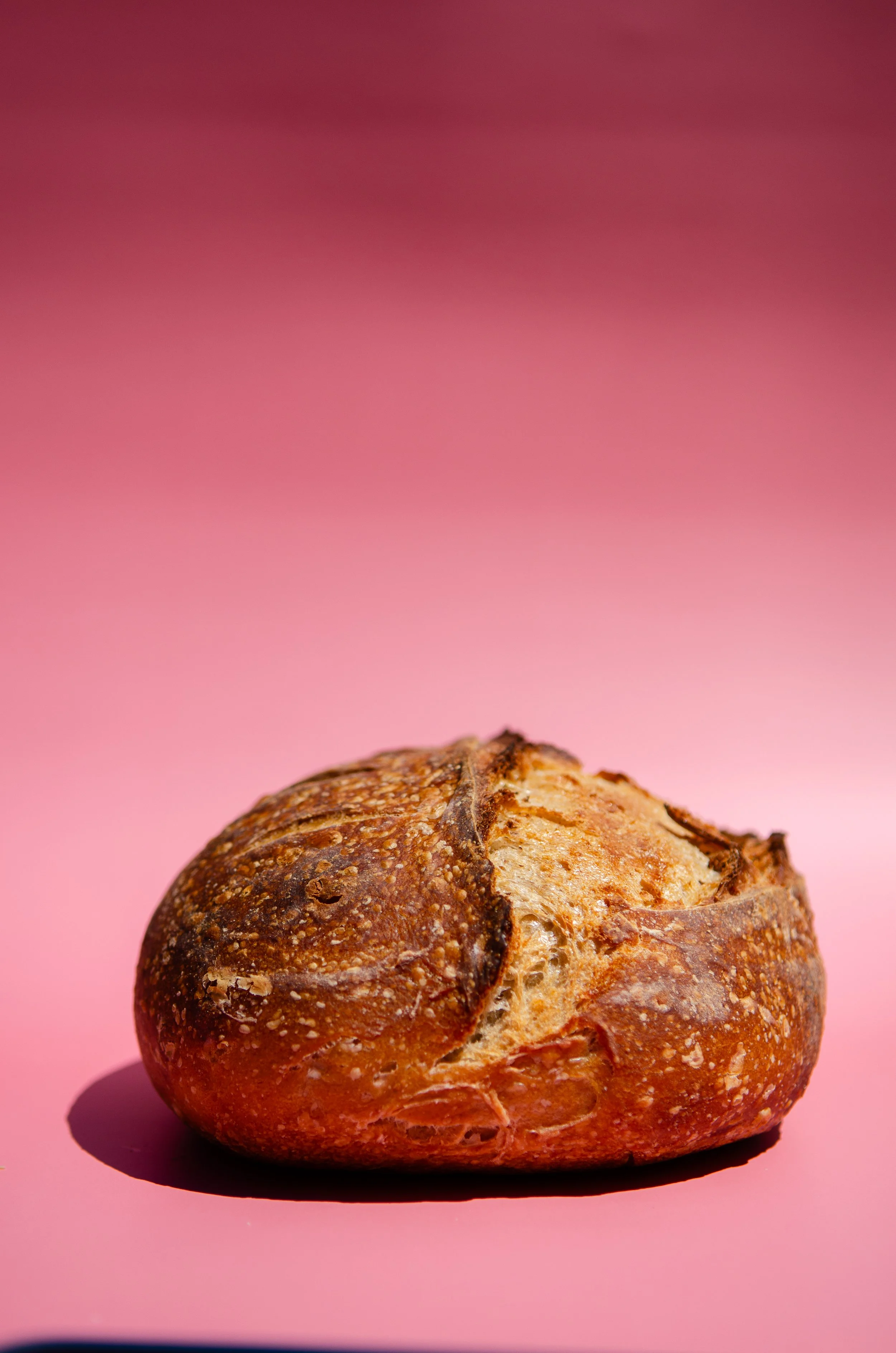 Sourdough Loaf