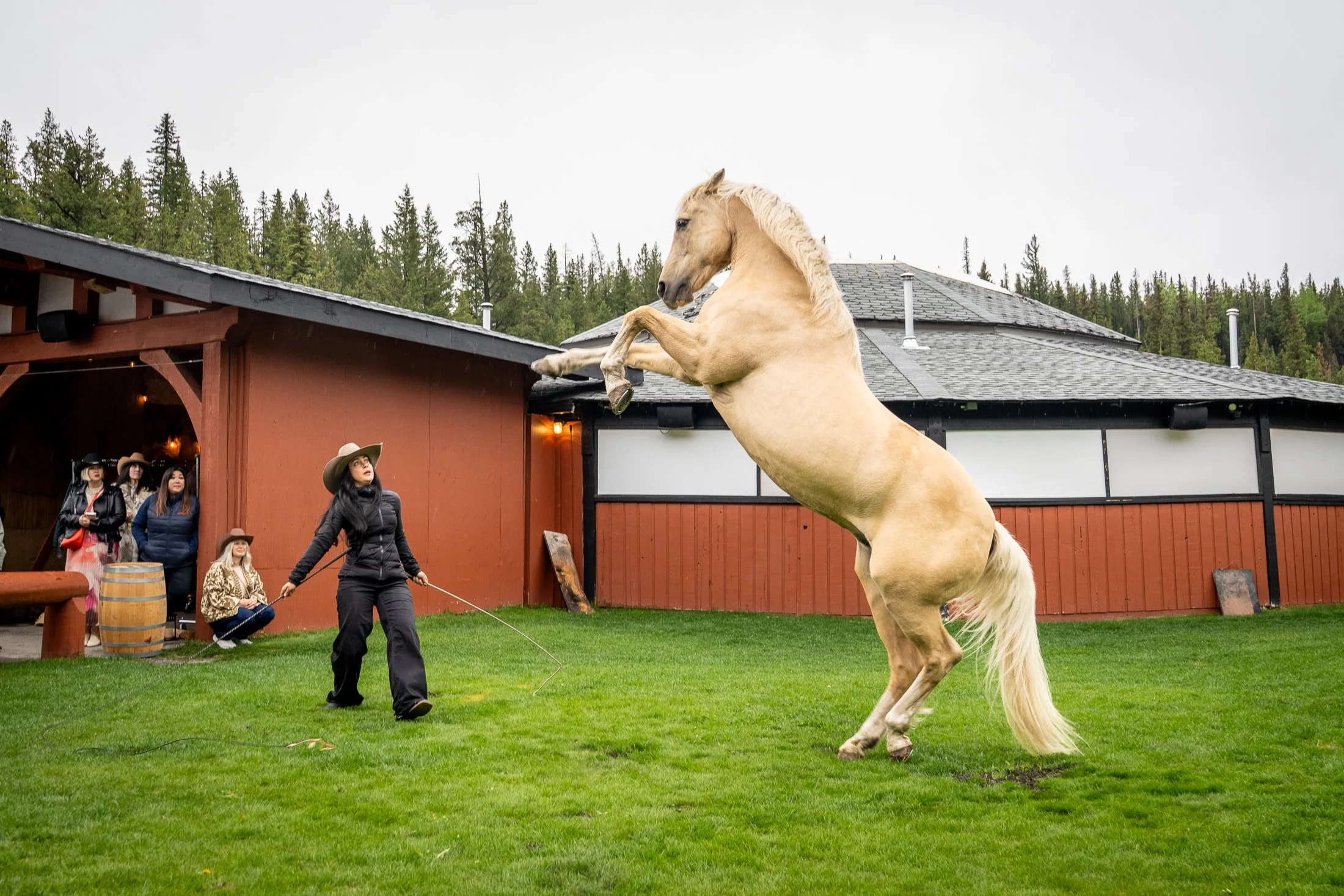 HindLegs-1.jpg